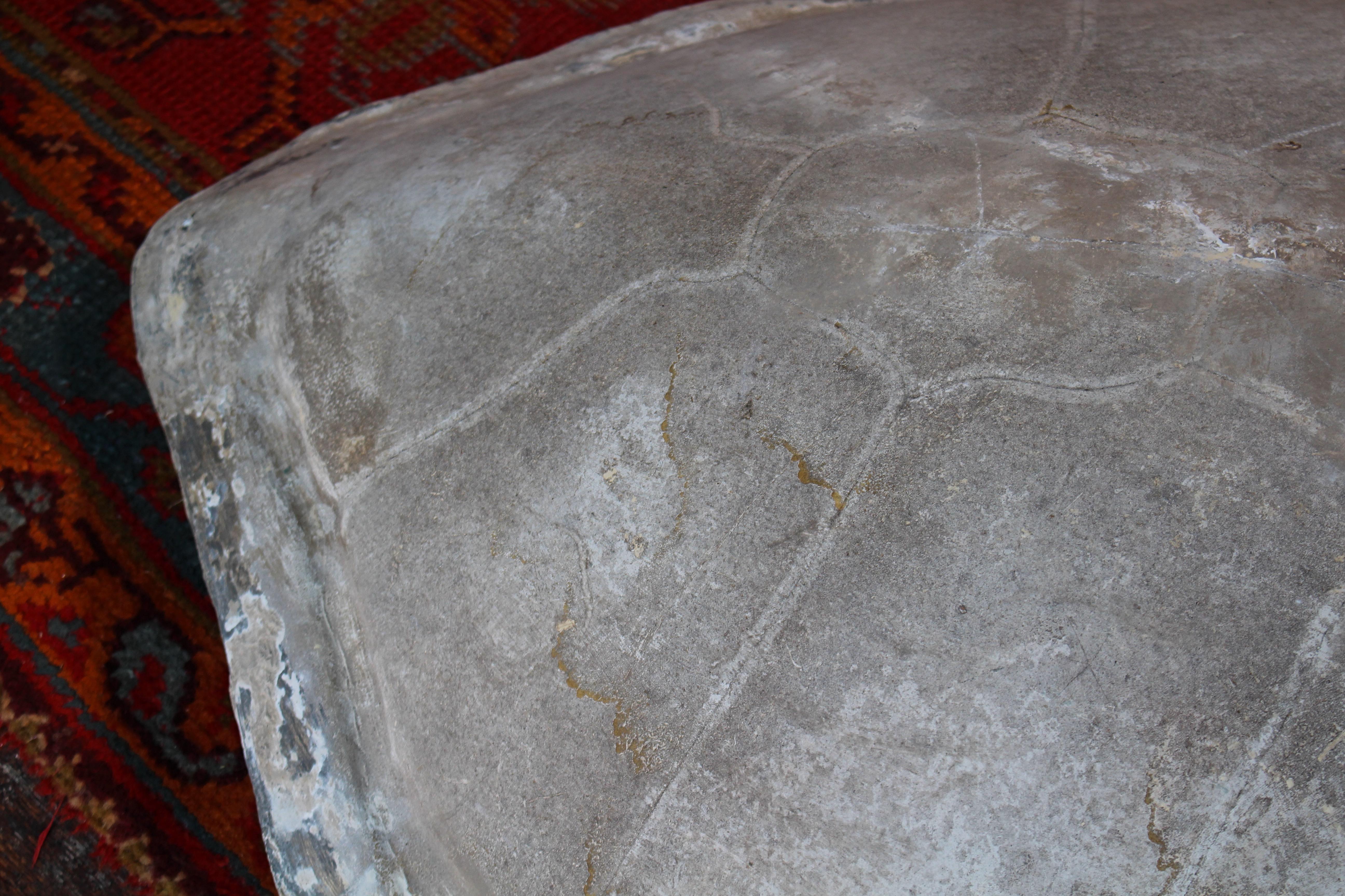 Huge Faux Carapace Giant South American Amazonian River Turtle Shell For Sale 5
