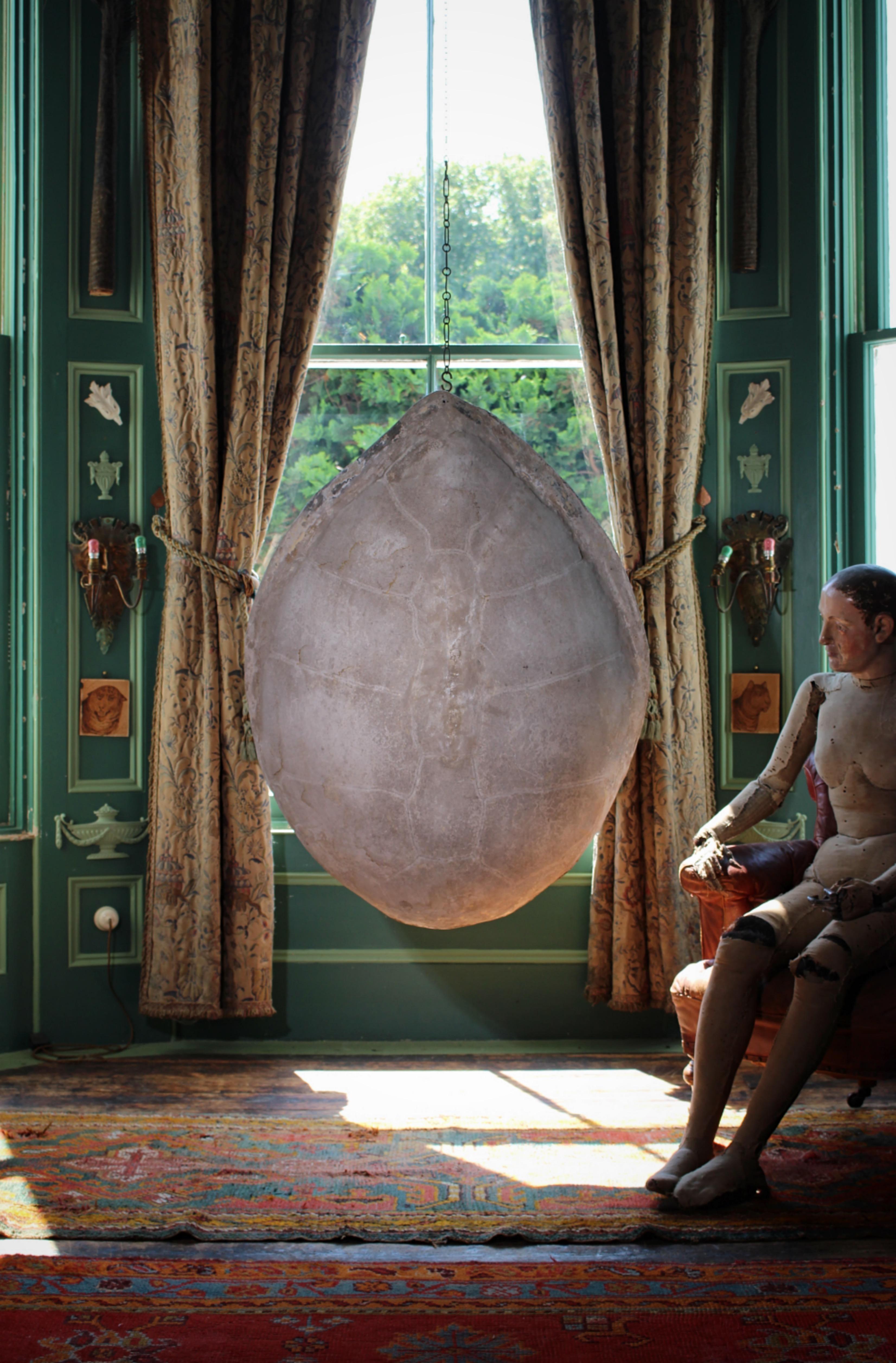 A bit of an oddball thing, possibly something that has been produced for a film, tv production, a piece created by a artist etc.

An oversized faux blonde river Turtle shell, formed in fibreglass with a hand painted exterior.

The shell really does