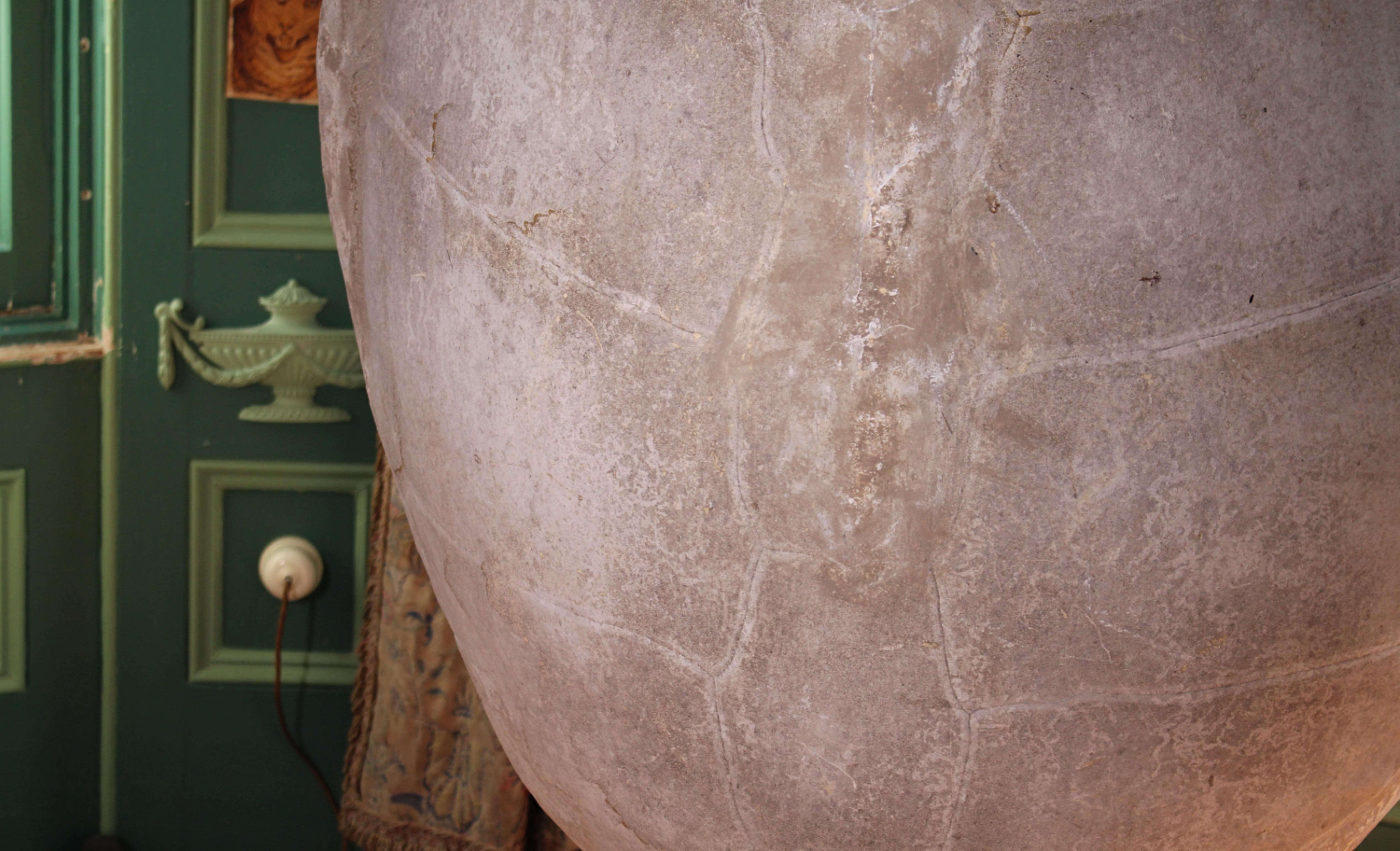 English Huge Faux Carapace Giant South American Amazonian River Turtle Shell For Sale