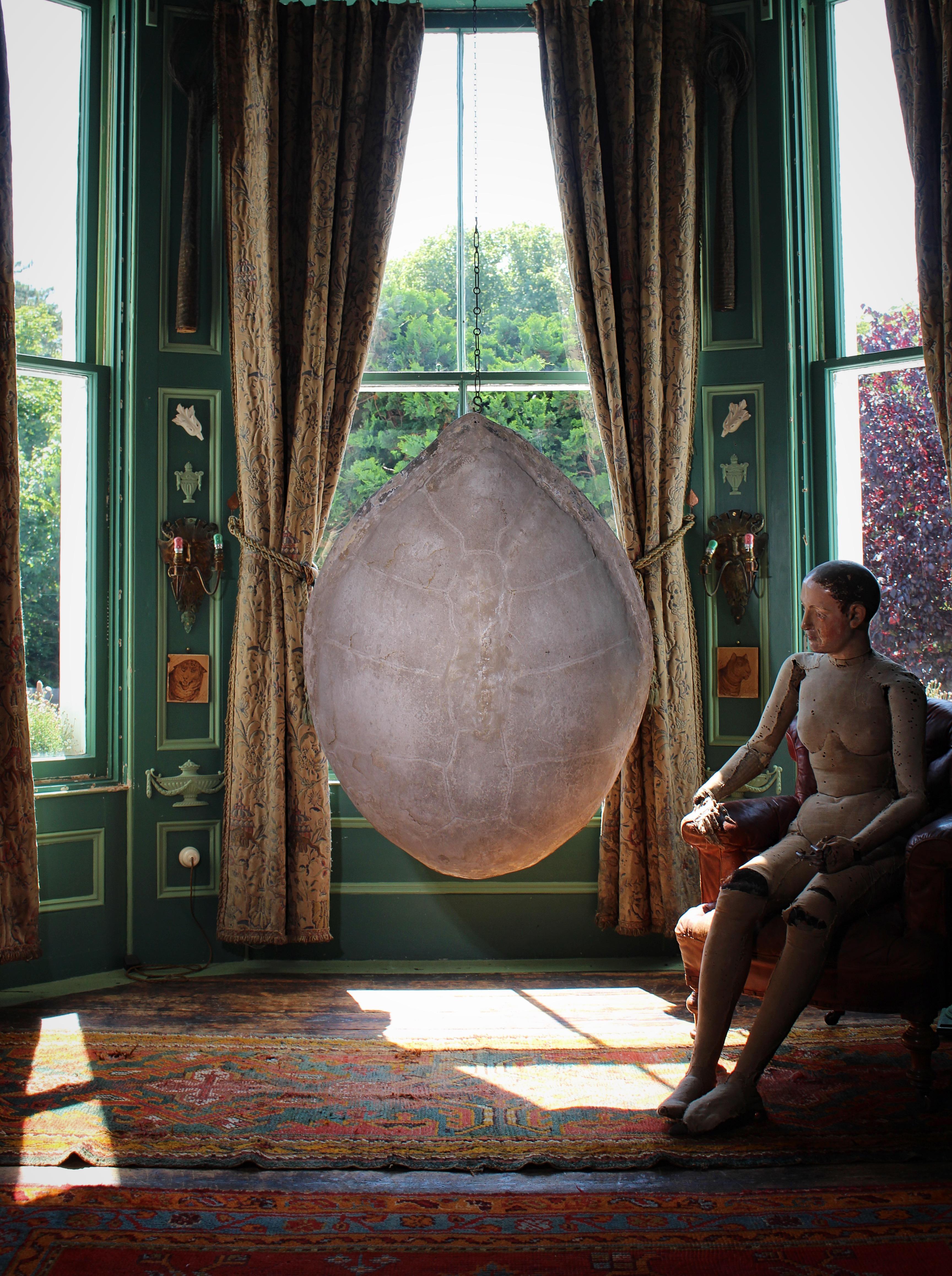 Fiberglass Huge Faux Carapace Giant South American Amazonian River Turtle Shell For Sale