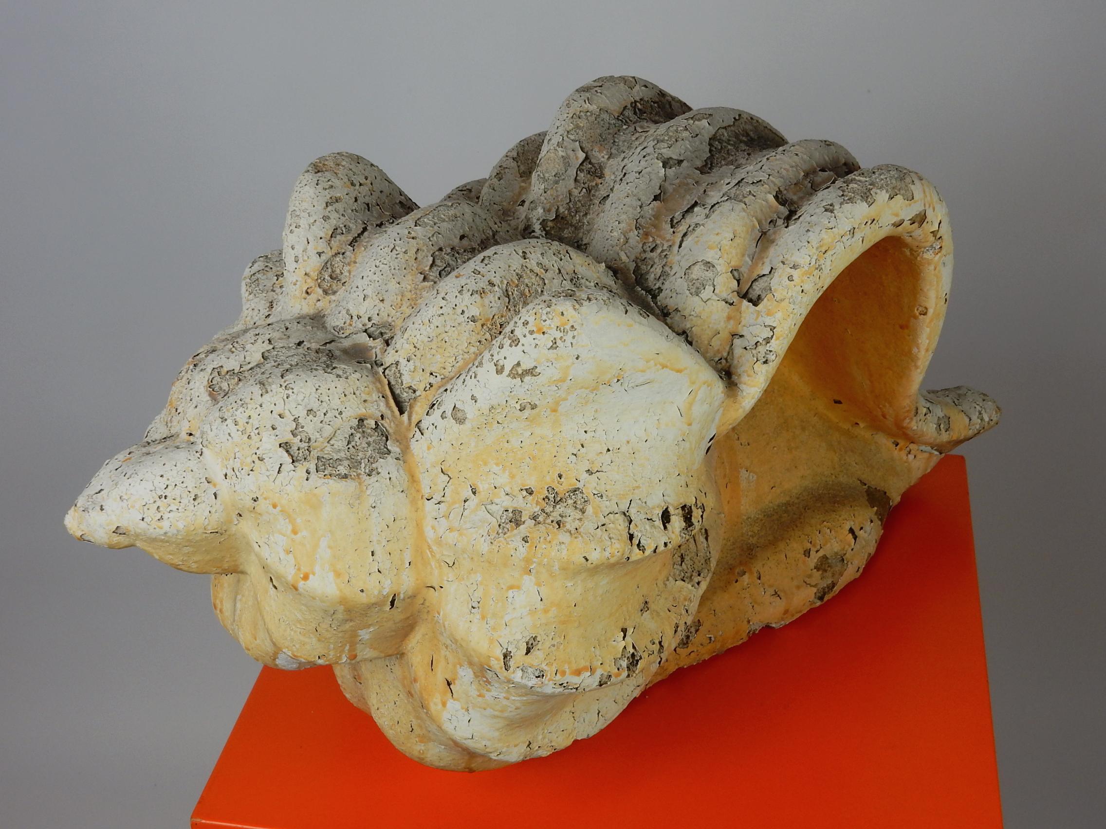 Organic Modern Huge Faux Fossilized Conch Shell Garden Sculpture