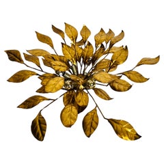 Huge Florentine Flower Shape Wall Lamp by Hans Kögl, Germany, 1950s