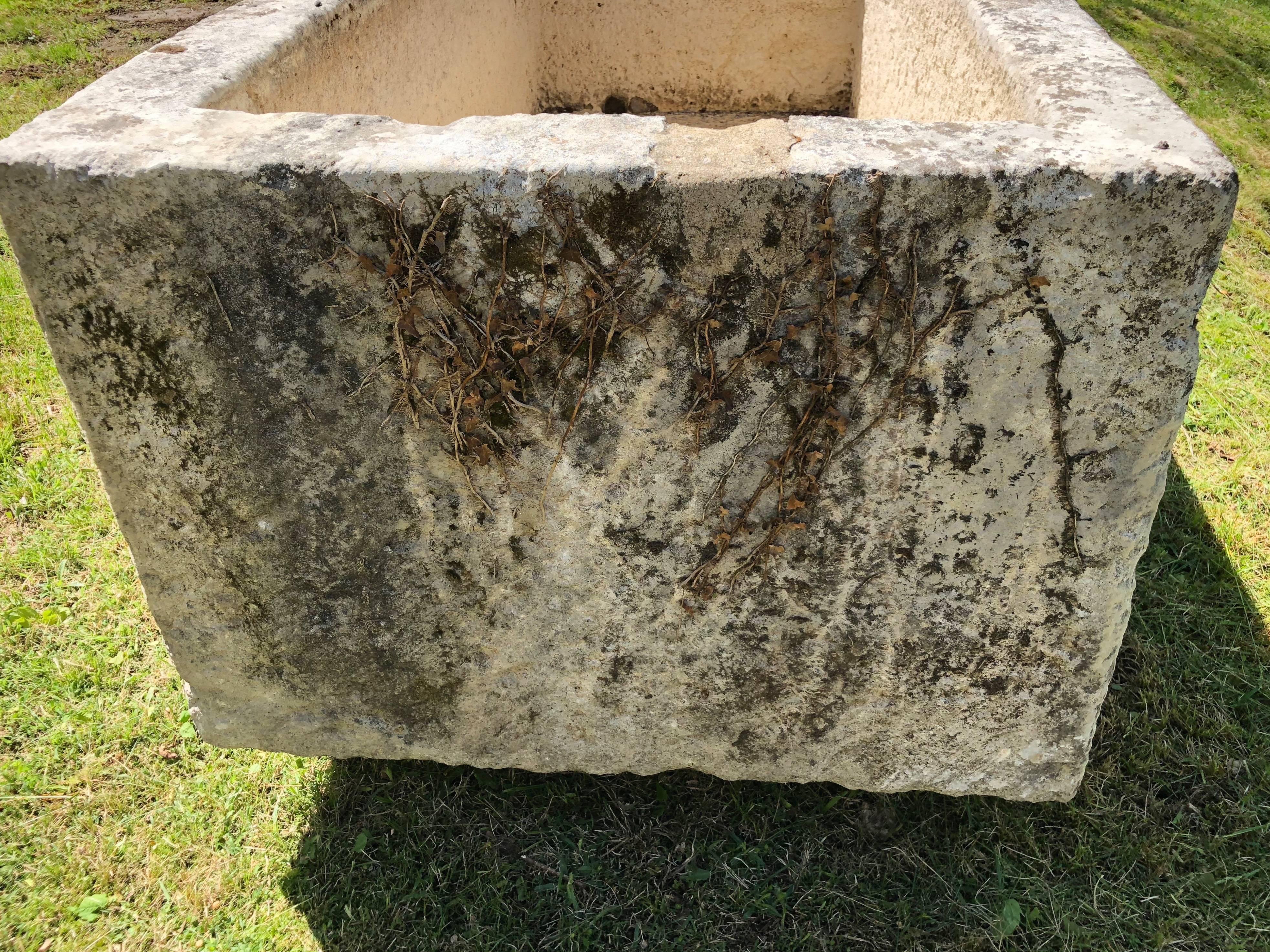 Huge French Hand-Carved Limestone Trough with Residual Ivy Vines 5