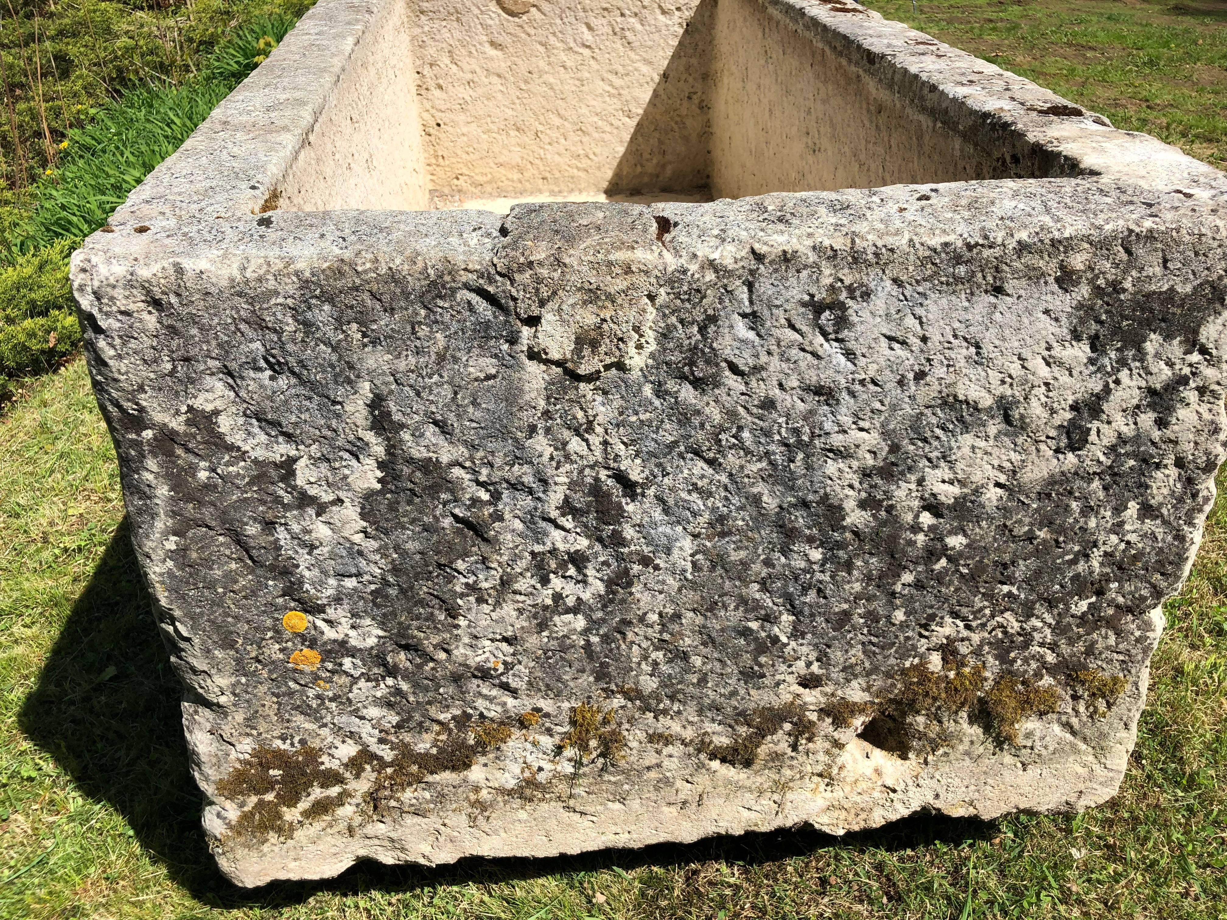 Huge French Hand-Carved Limestone Trough with Residual Ivy Vines 1