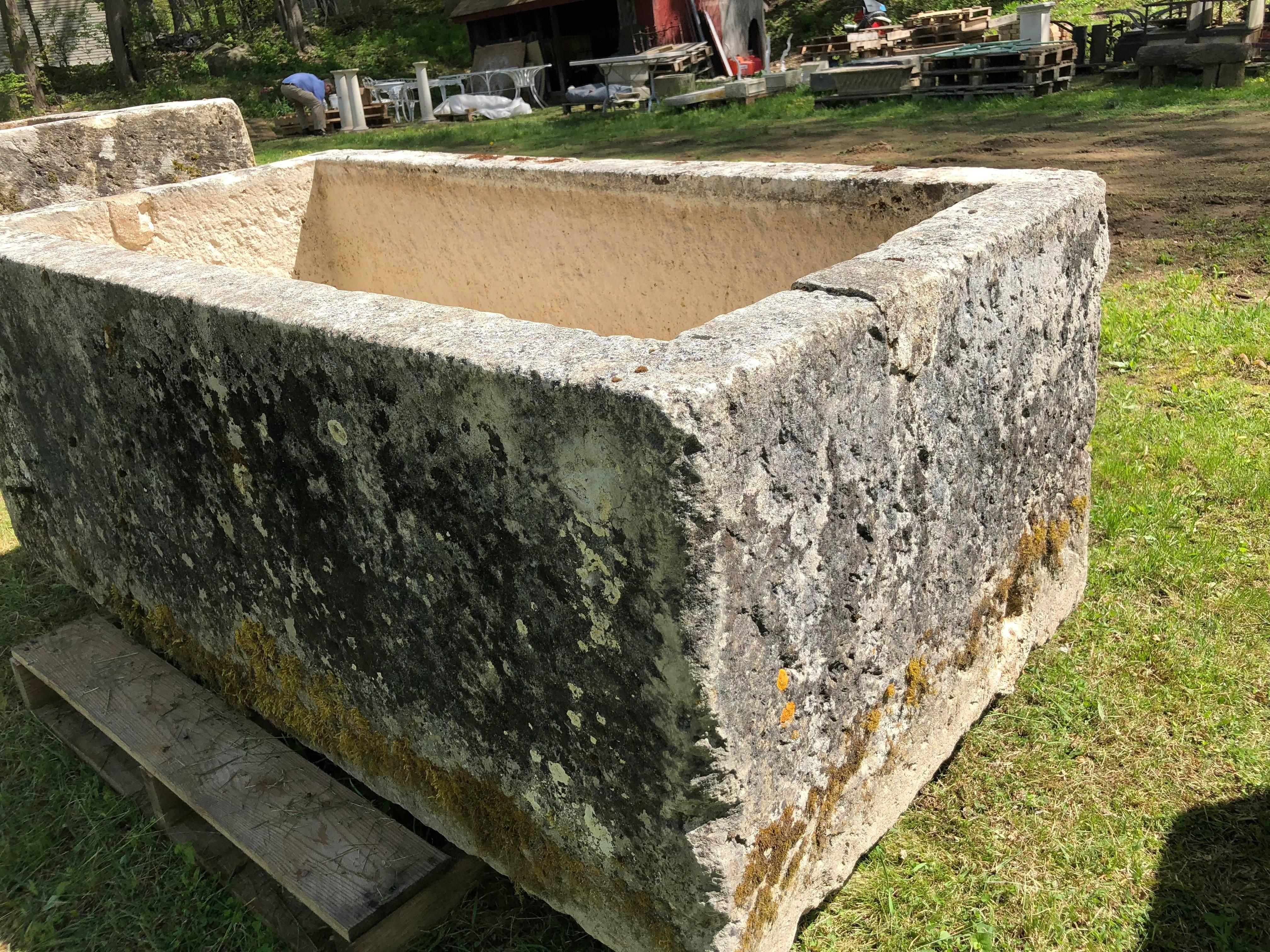 Huge French Hand-Carved Limestone Trough with Residual Ivy Vines 2