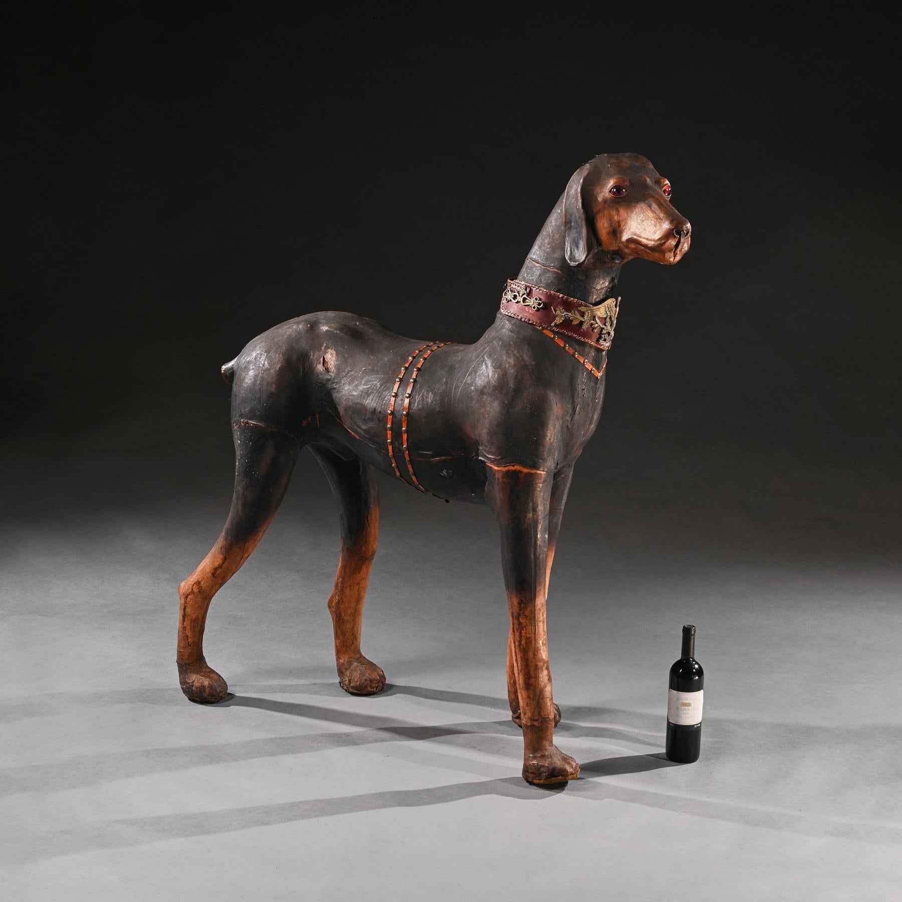 Extraordinaire modèle en cuir français d'un chien Doberman Pinscher portant un collier élaboré avec des montures et des harnais en bronze doré

Français - Circa 1880

Cette représentation surdimensionnée et incroyablement réaliste d'un doberman de