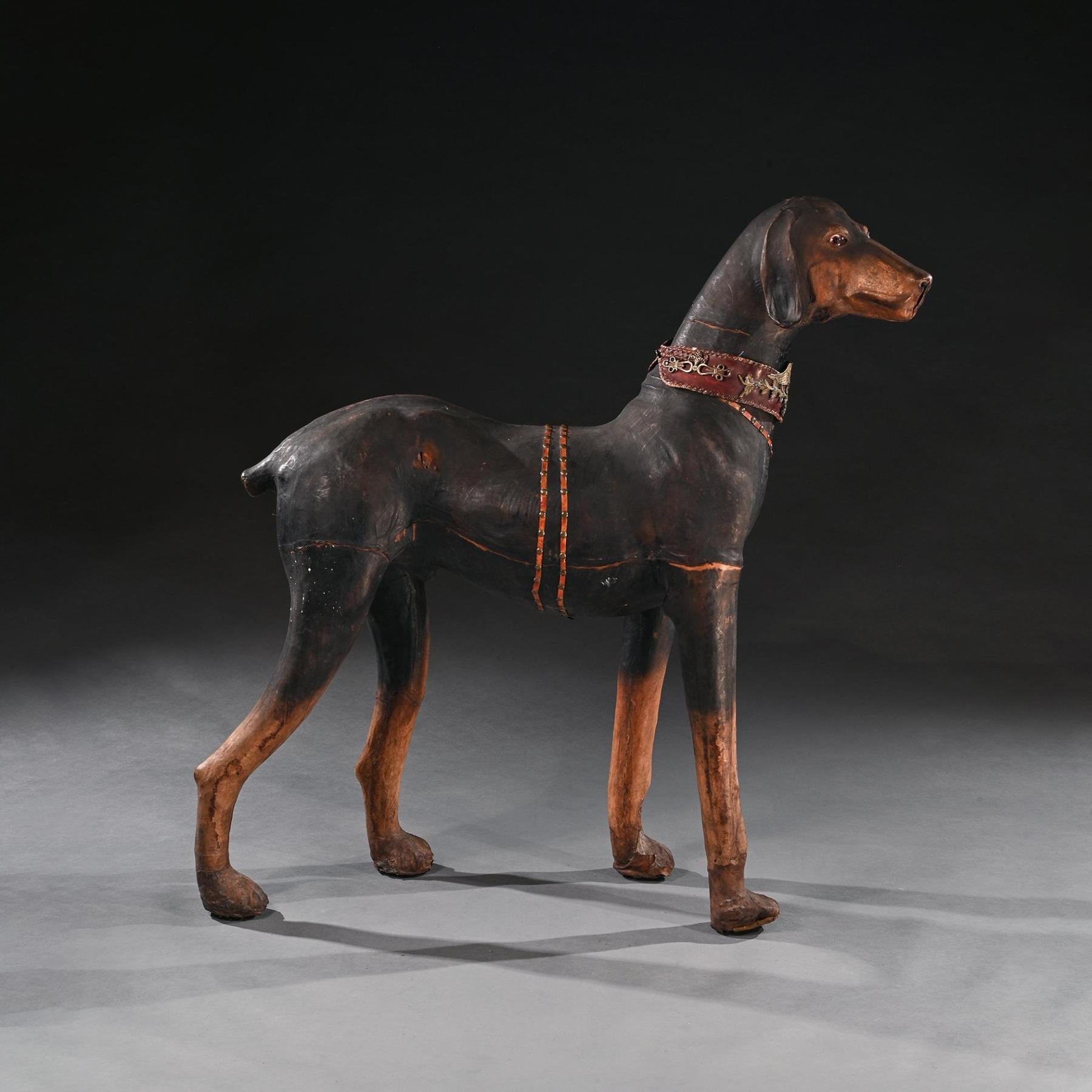 Français Grand modèle de chien Doberman Pinscher portant un collier élaboré en cuir français en vente