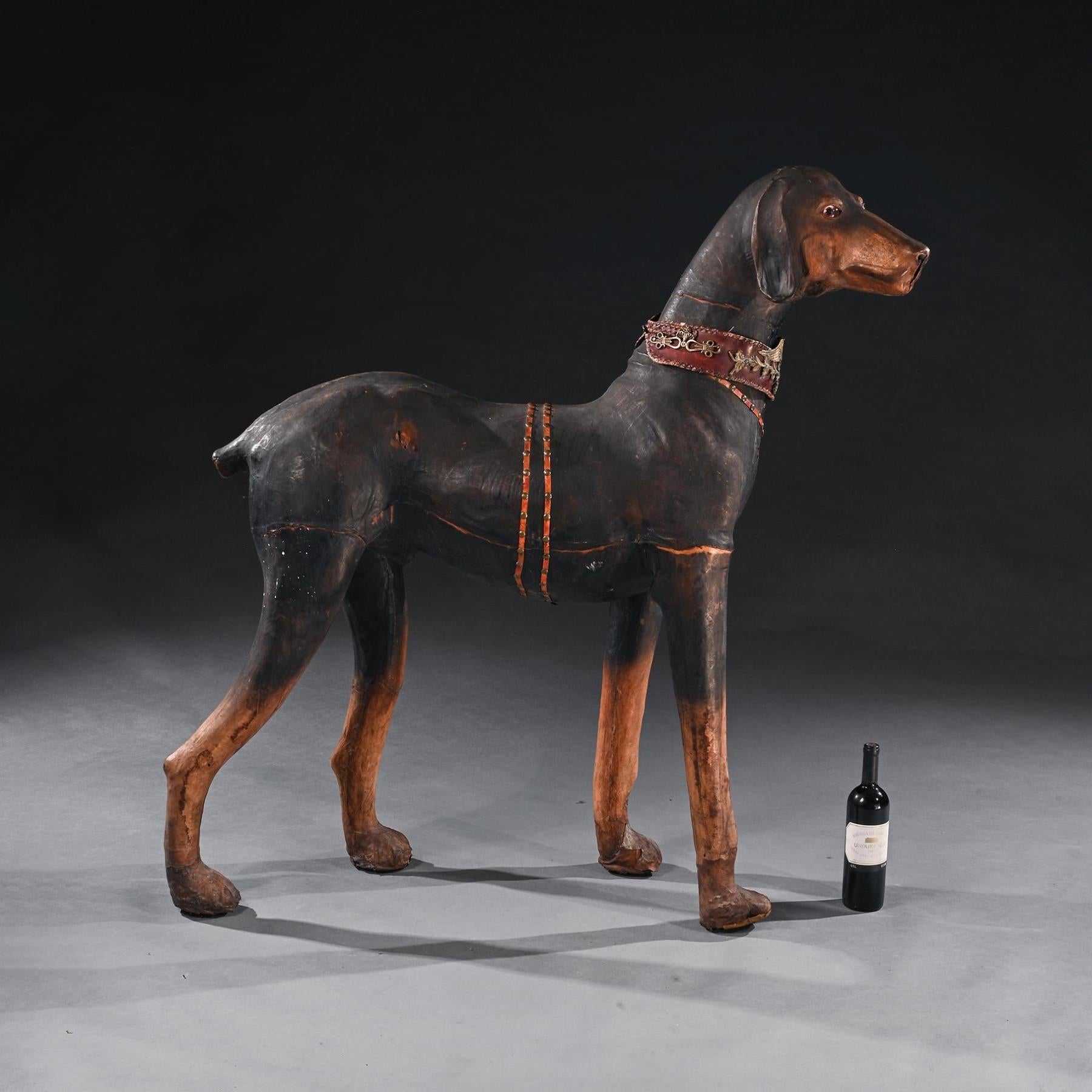 Grand modèle de chien Doberman Pinscher portant un collier élaboré en cuir français Bon état - En vente à Benington, Herts