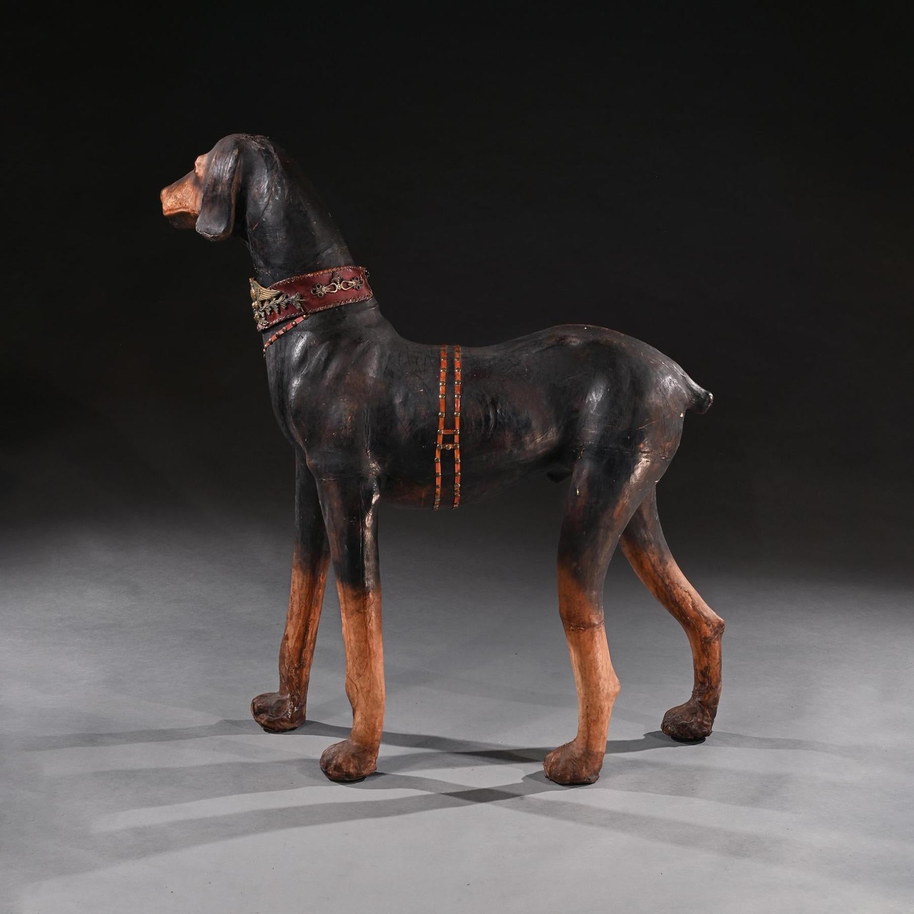 XIXe siècle Grand modèle de chien Doberman Pinscher portant un collier élaboré en cuir français en vente