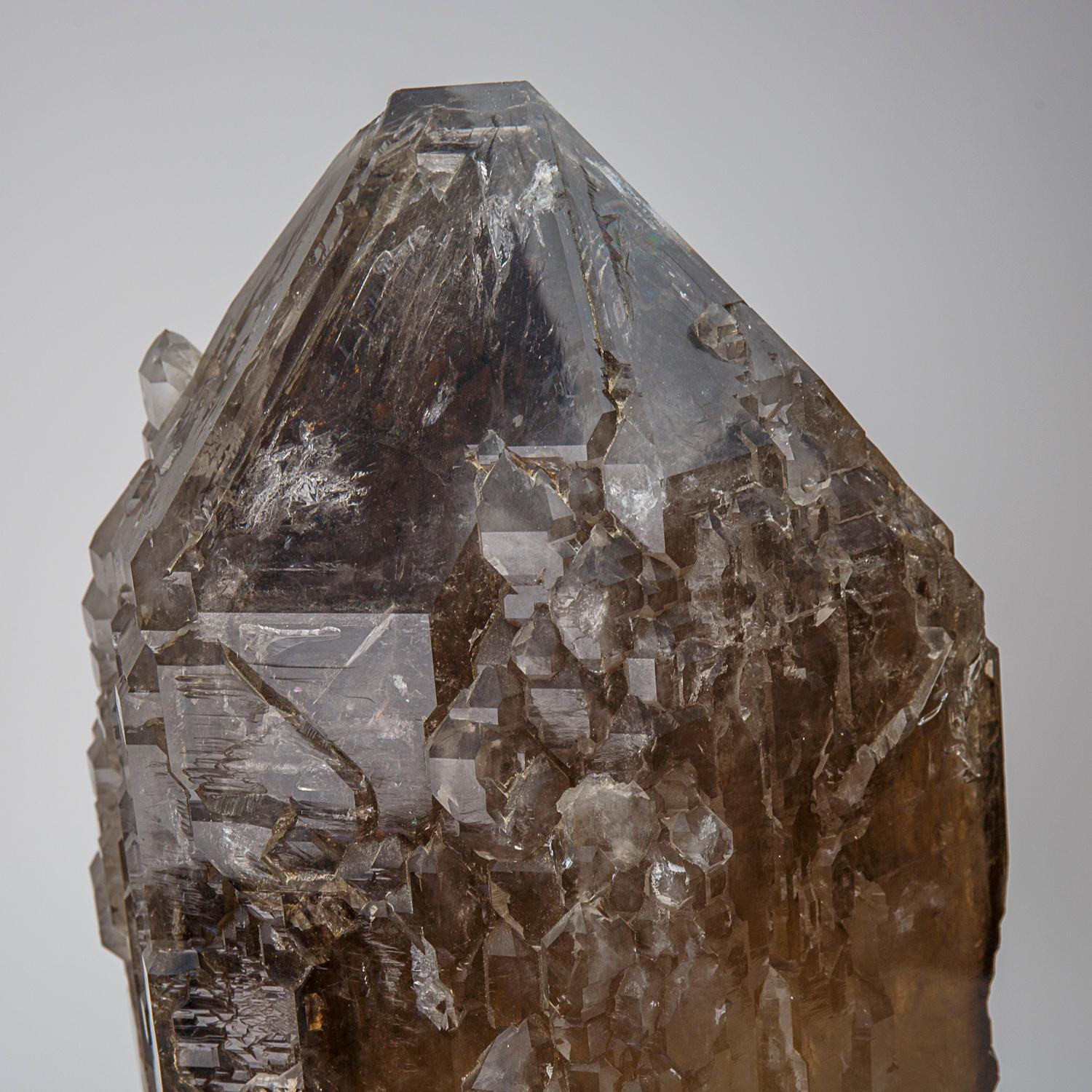 This is a 81lb Cathedral Smoky Quartz crystal point from Brazil, known for its museum-quality perfection, flawlessly terminated face, remarkable luster, and natural lightbrary smoky yellow color. Its crystal-clear formation often earns it the title