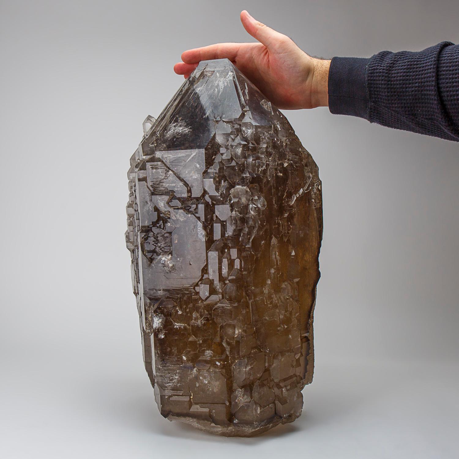 Brazilian Huge Genuine Cathedral Smoky Quartz Crystal Point From Brazil (81 lbs) For Sale