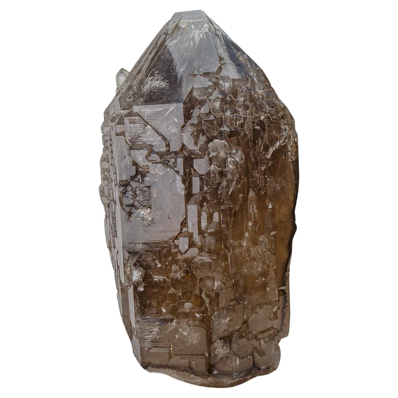 Huge Genuine Cathedral Smoky Quartz Crystal Point From Brazil (81 lbs) For Sale