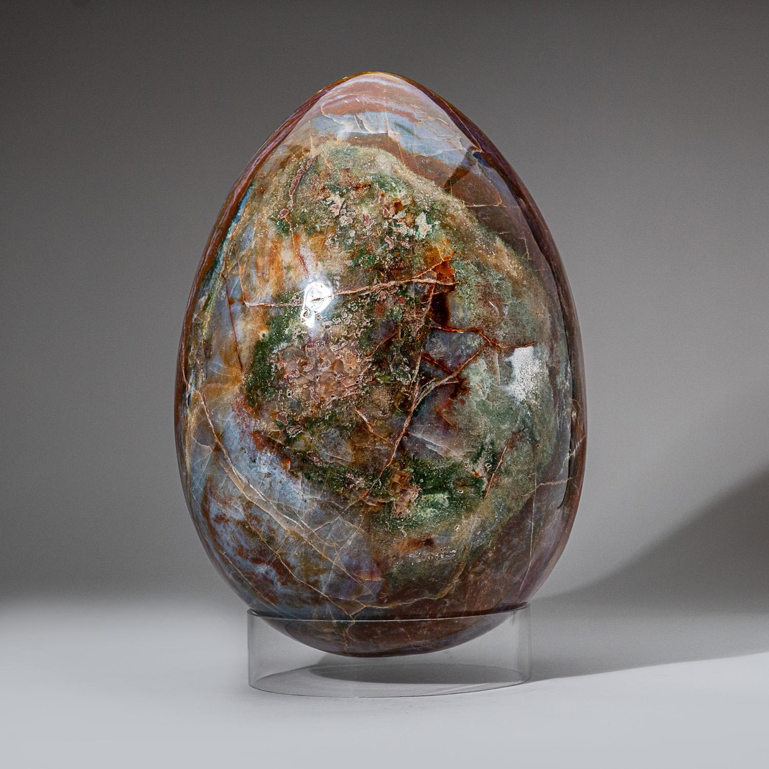 Malagasy Huge Genuine Polished Ocean Jasper Egg from Madagascar '48 Lbs' For Sale