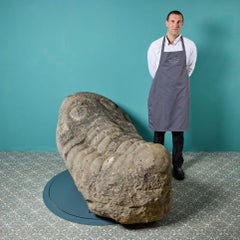 Huge Heavy Carved Stone Trilobite Sculpture