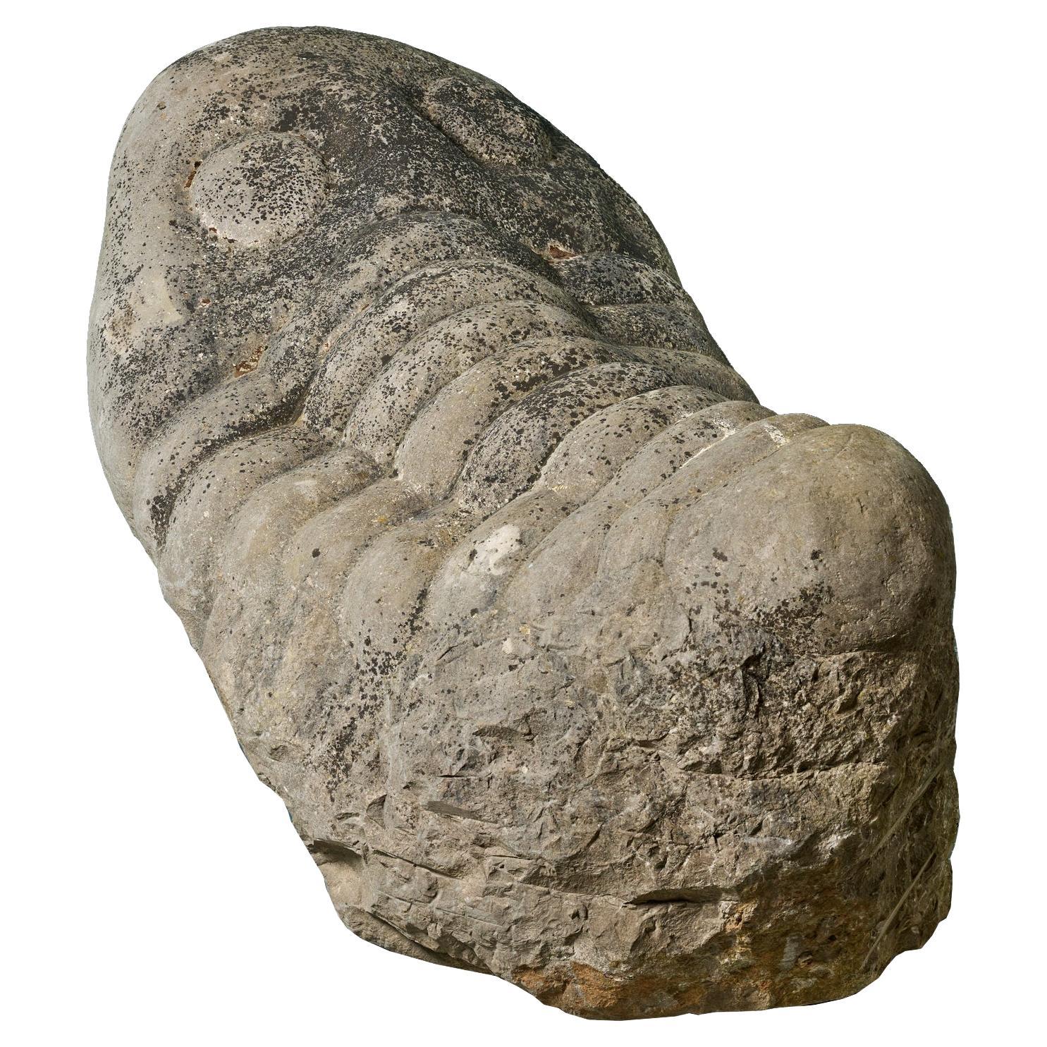Große schwere geschnitzte Stein-Dreilobit-Skulptur im Angebot