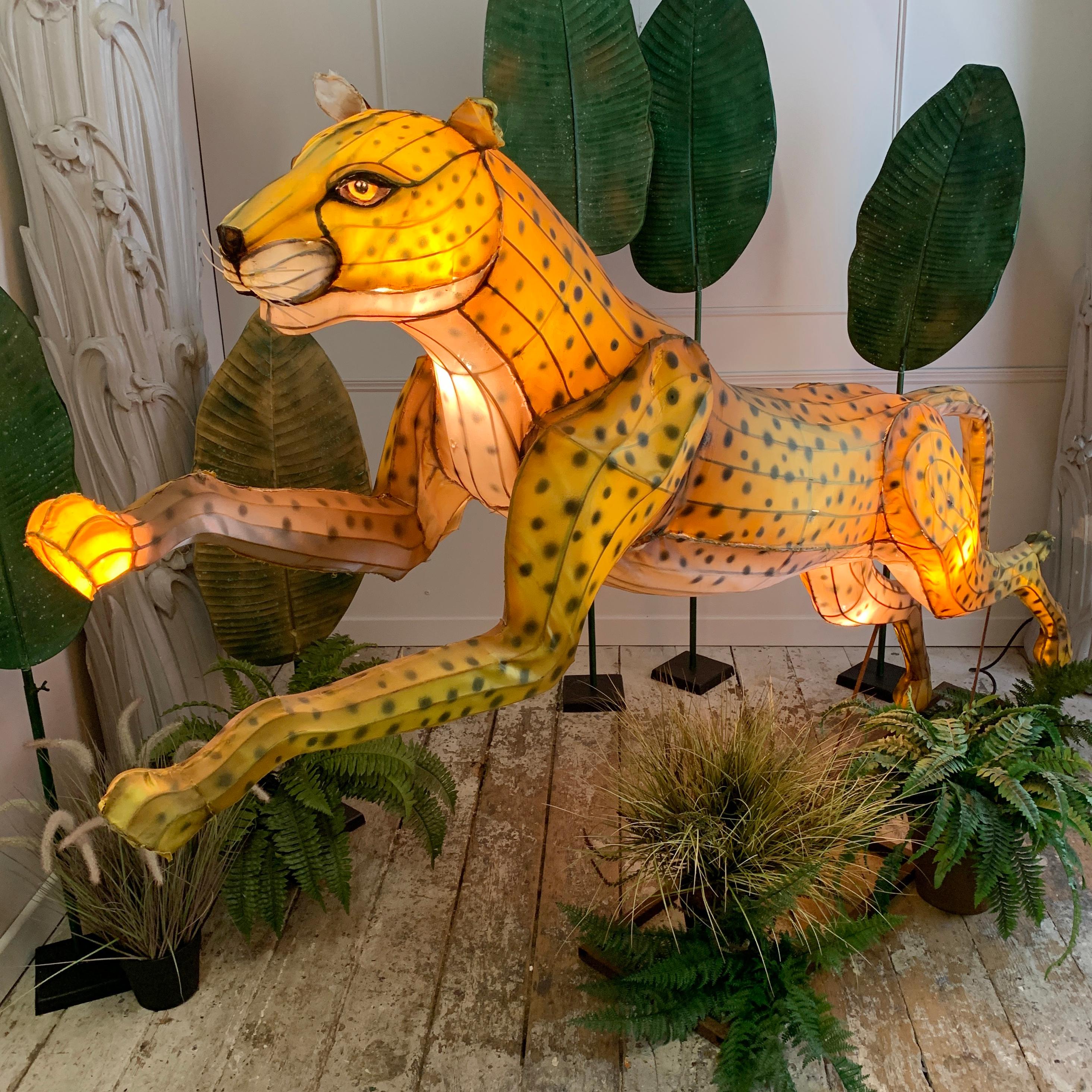 Huge Illuminated Majestic Cheetah from London Zoo 7