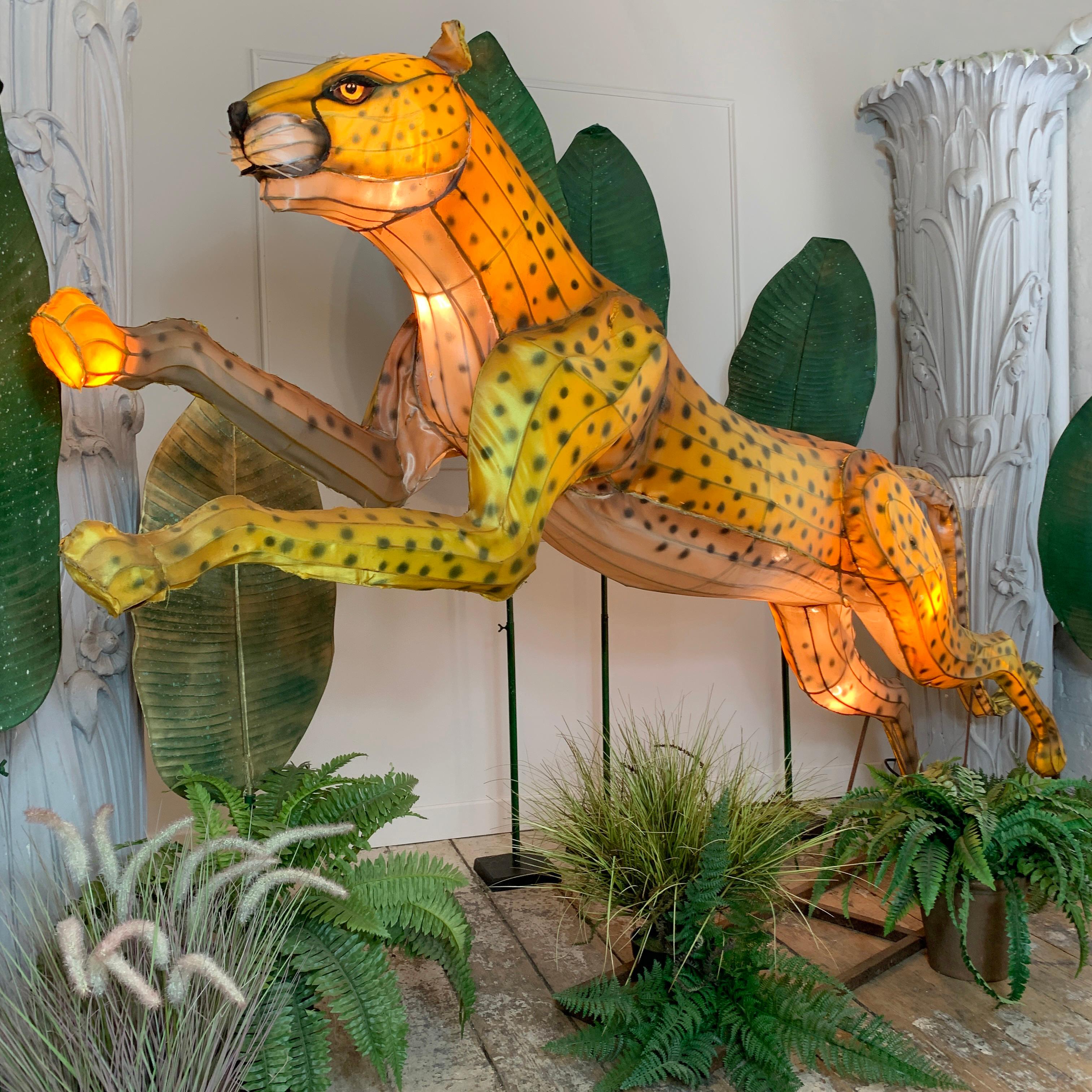 This huge illuminated cheetah is a rare and unique piece
Originally made for London Zoo, Whipsnade Zoo & Chester Zoo as part of a travelling group of giant animal lanterns for special evening zoo openings called 'Zoo nights'. Set among towering