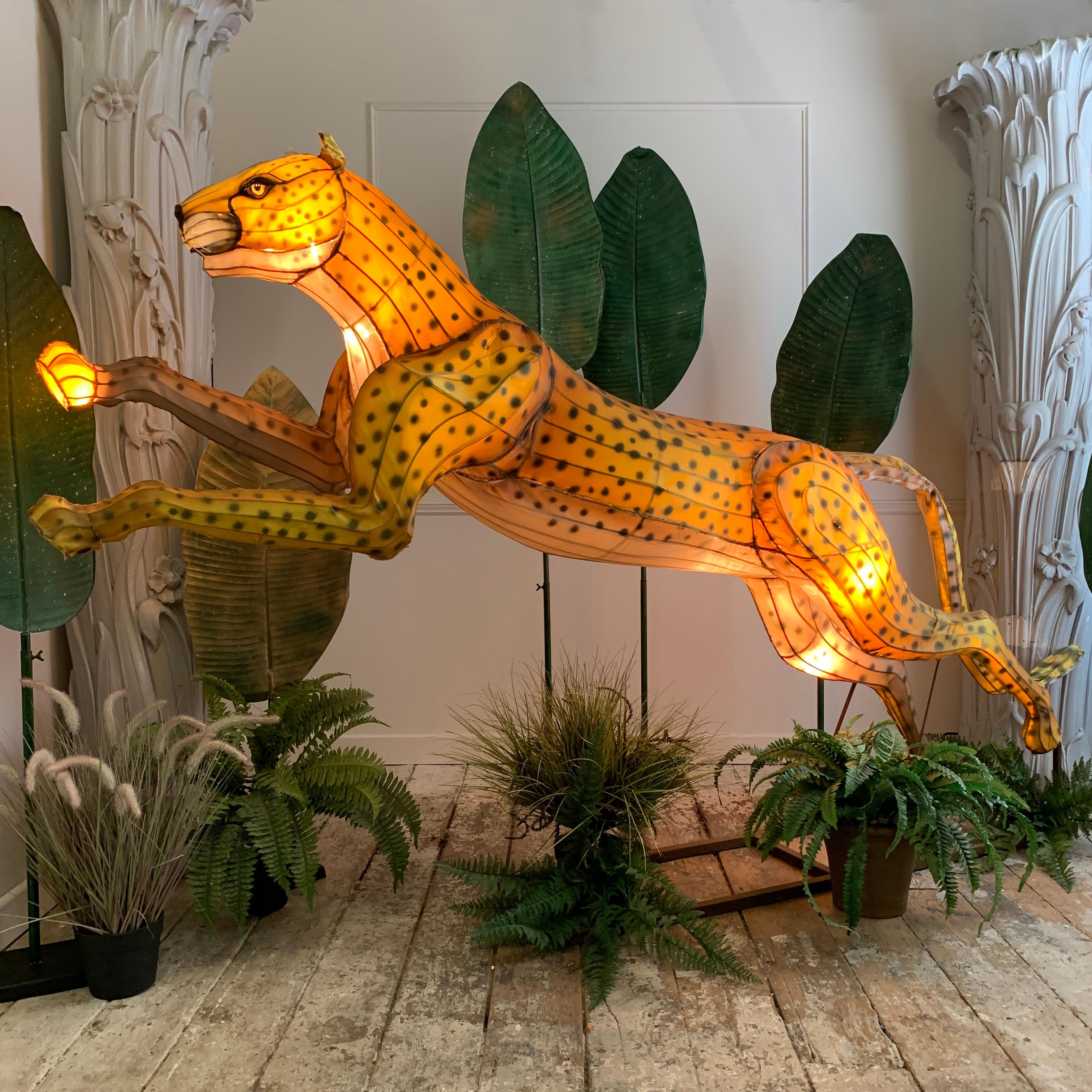 Contemporary Huge Illuminated Majestic Cheetah from London Zoo