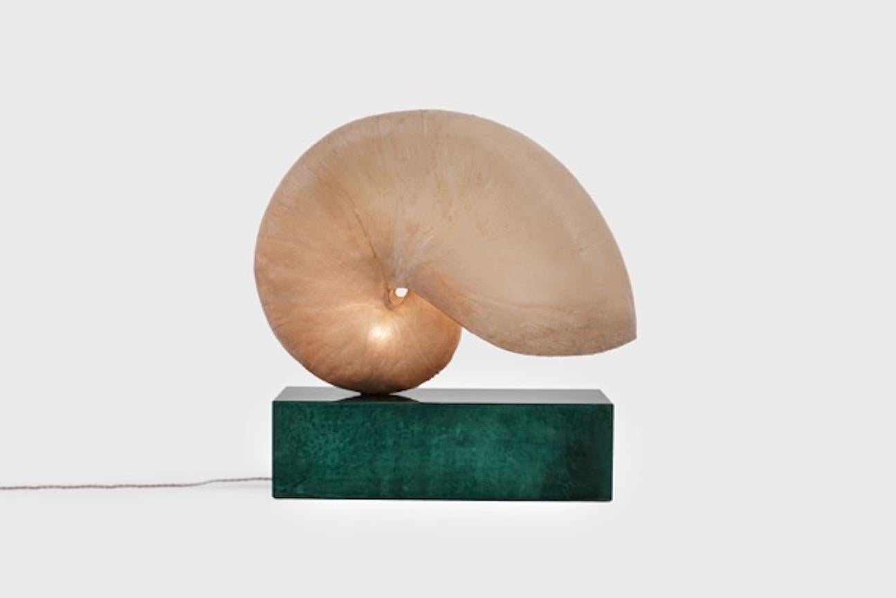 Huge Italian nautilus shell lamp by Aldo Tura, Italy, 1960s. The enormous shell is made from fiberglass and stands on a base covered with green colored parchment which is typical for the work of Aldo Tura. The shell gets a beautiful warm 'honey