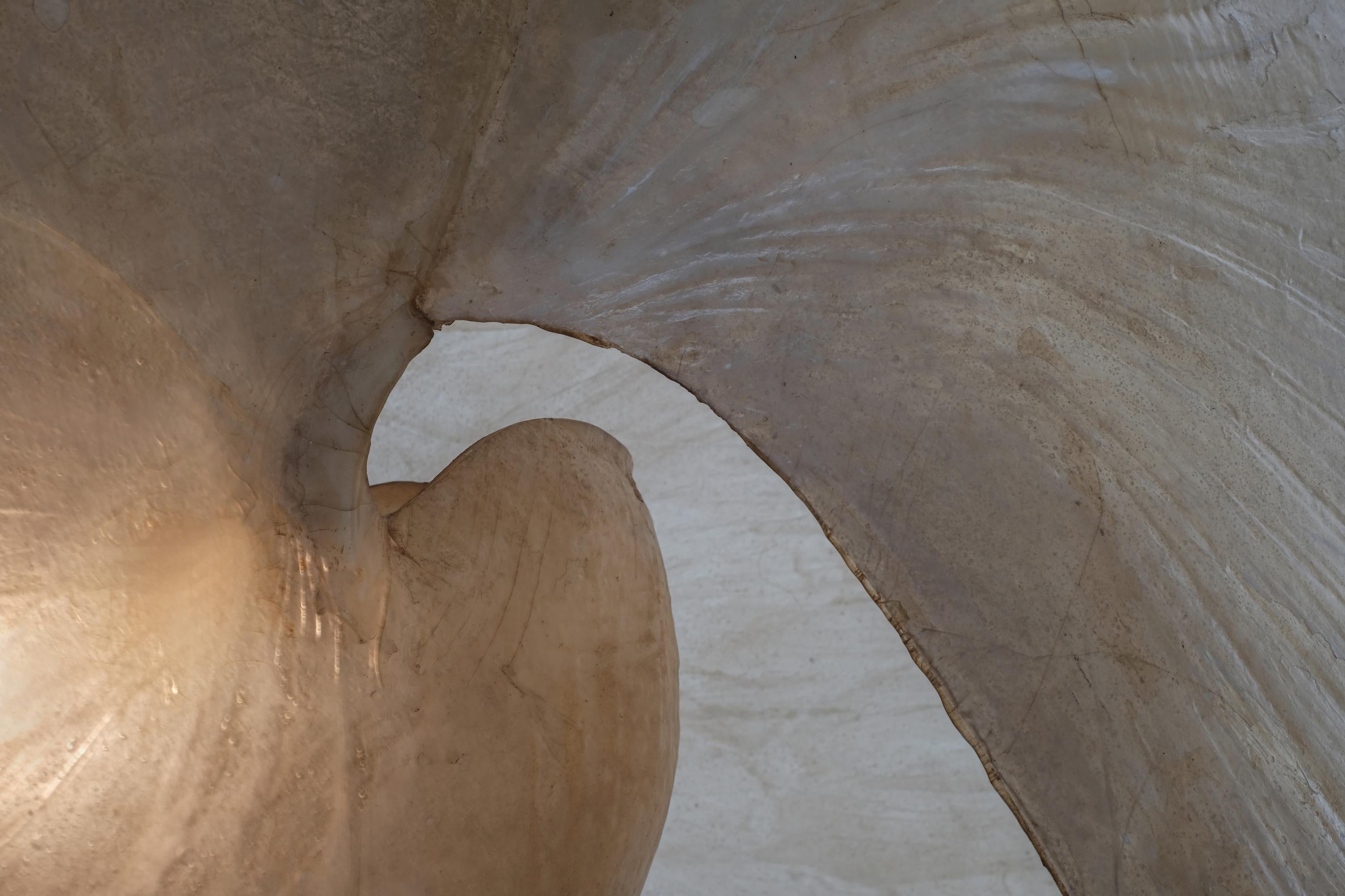 Goatskin Huge Italian Mid-Century Modern Nautilus Shell Lamp by Aldo Tura