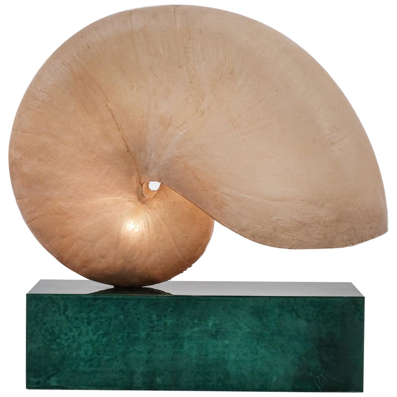 Huge Italian Mid-Century Modern Nautilus Shell Lamp by Aldo Tura