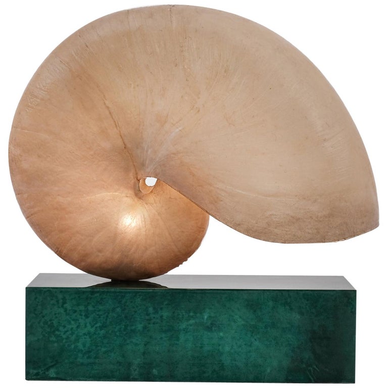 Huge Italian Mid-Century Modern Nautilus Shell Lamp by Aldo Tura at 1stDibs  | nautilus lamp, aldo tura lamp
