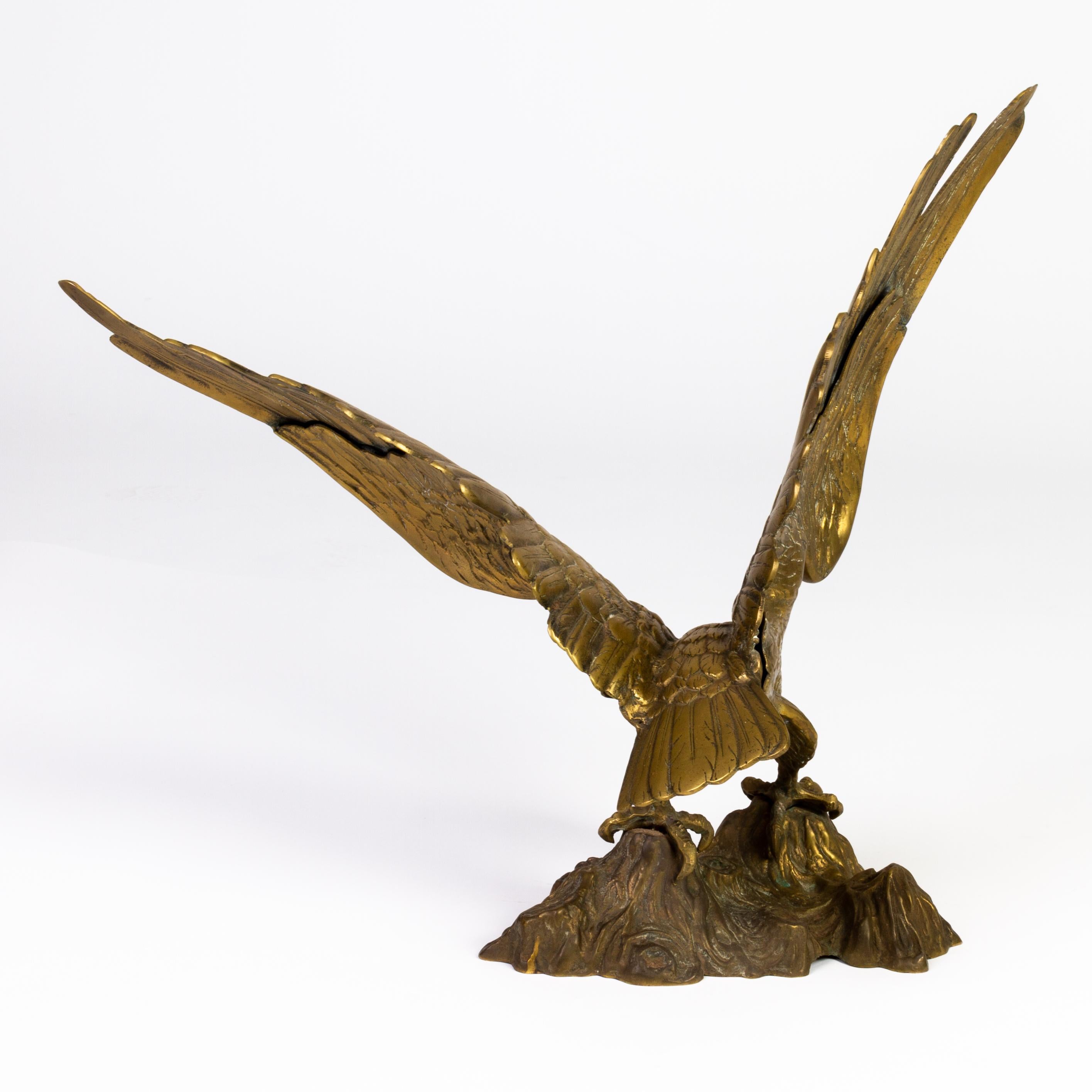century eagle