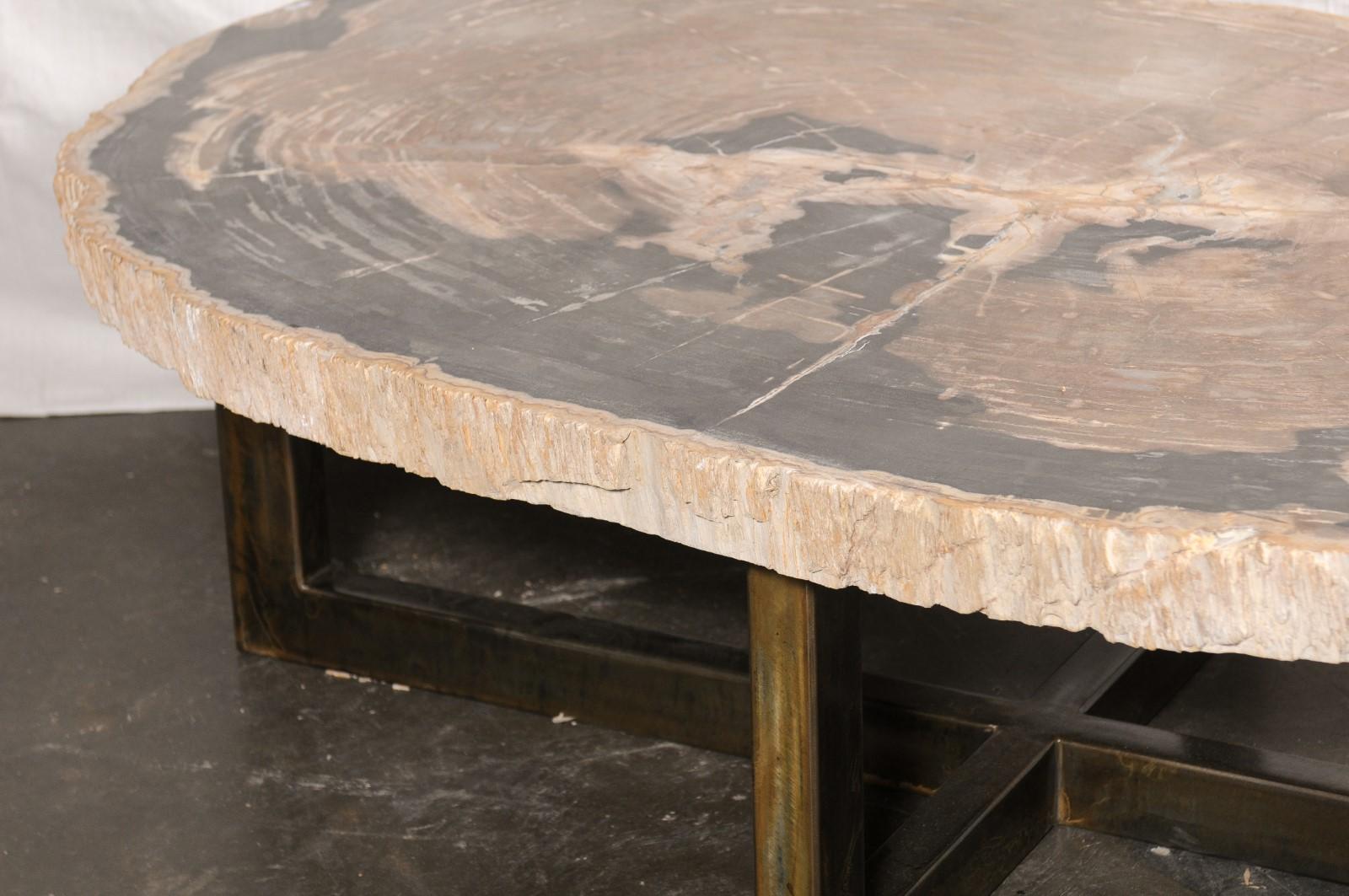 Huge Live-Edge Petrified Wood Coffee Table, Approximately For Sale 4
