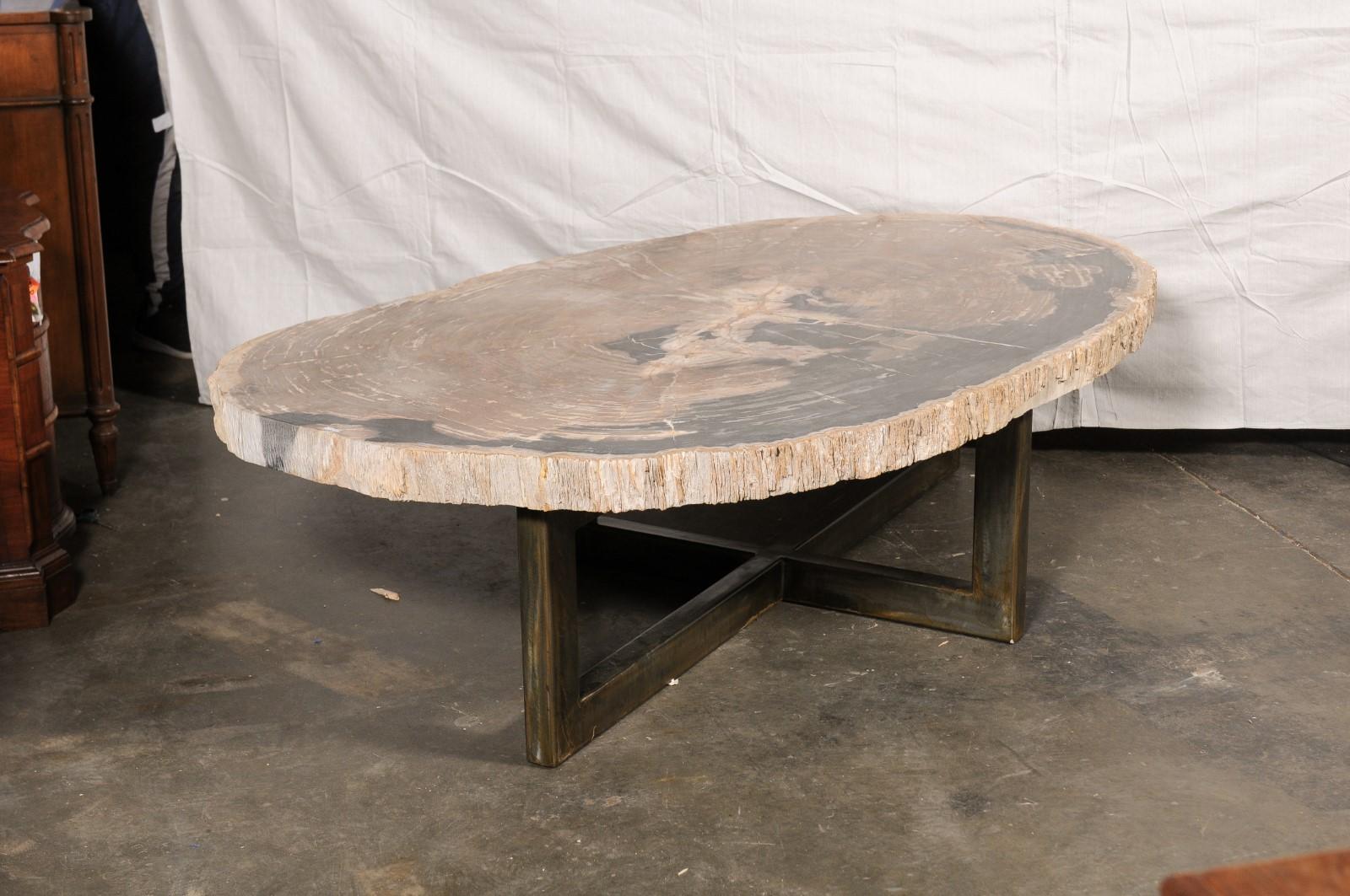 A fabulous petrified wood slab top and iron base coffee table. This custom coffee table has been fashioned from a large and primarily oval-shaped single piece of petrified wood which has been smoothly polished and retains its live edge. This