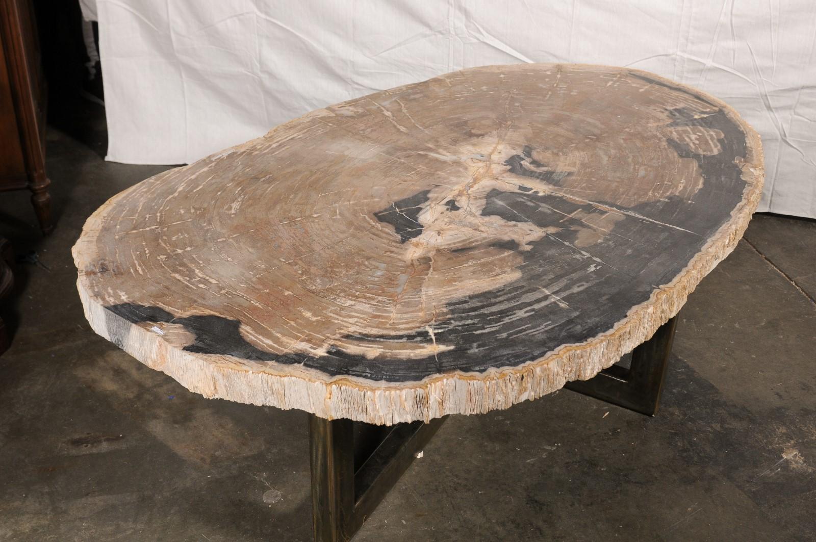 Grande table basse en bois pétrifié à bords vifs, environ Bon état - En vente à Atlanta, GA