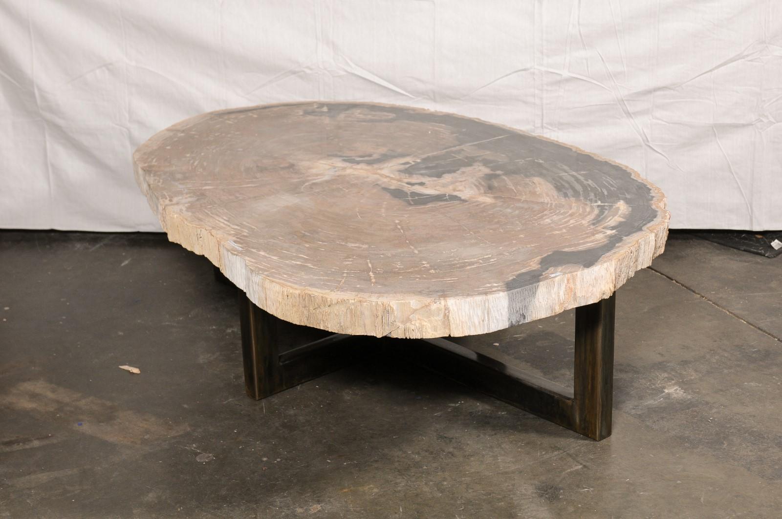 Fer Grande table basse en bois pétrifié à bords vifs, environ en vente