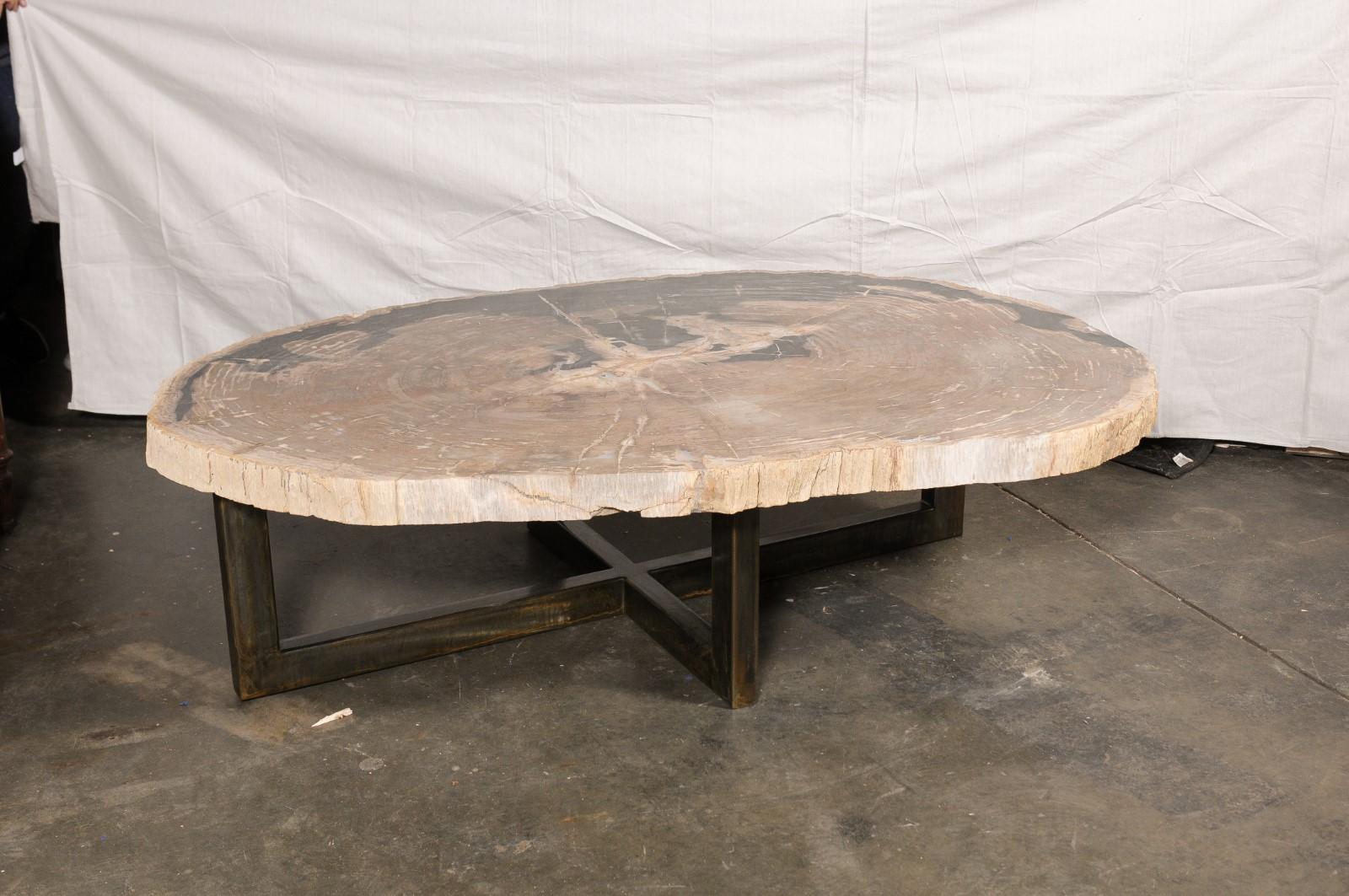 Iron Huge Live-Edge Petrified Wood Coffee Table, Approximately For Sale