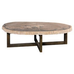 Huge Live-Edge Petrified Wood Coffee Table, Approximately