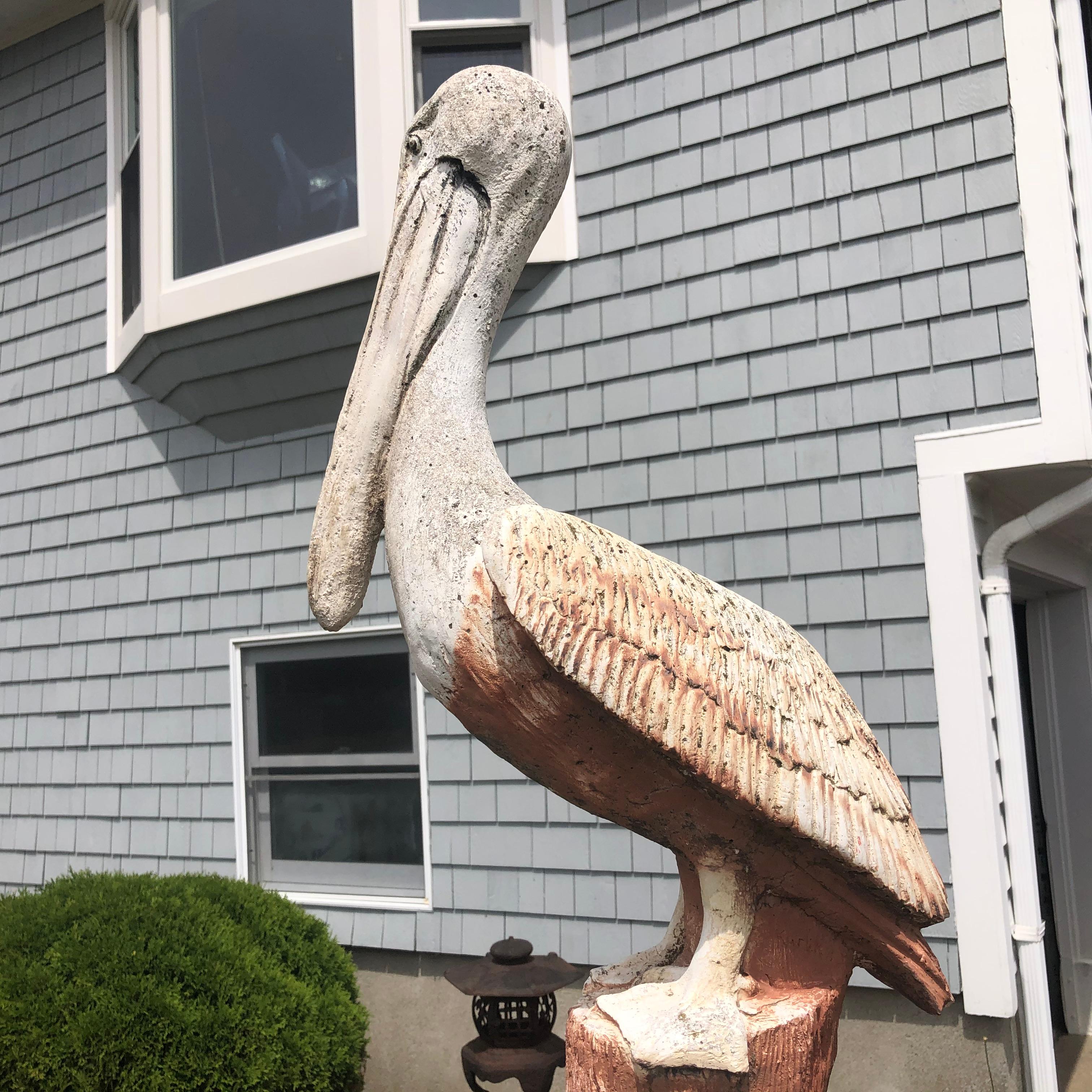 Huge Ocean Garden Sea Bird Pelican 3