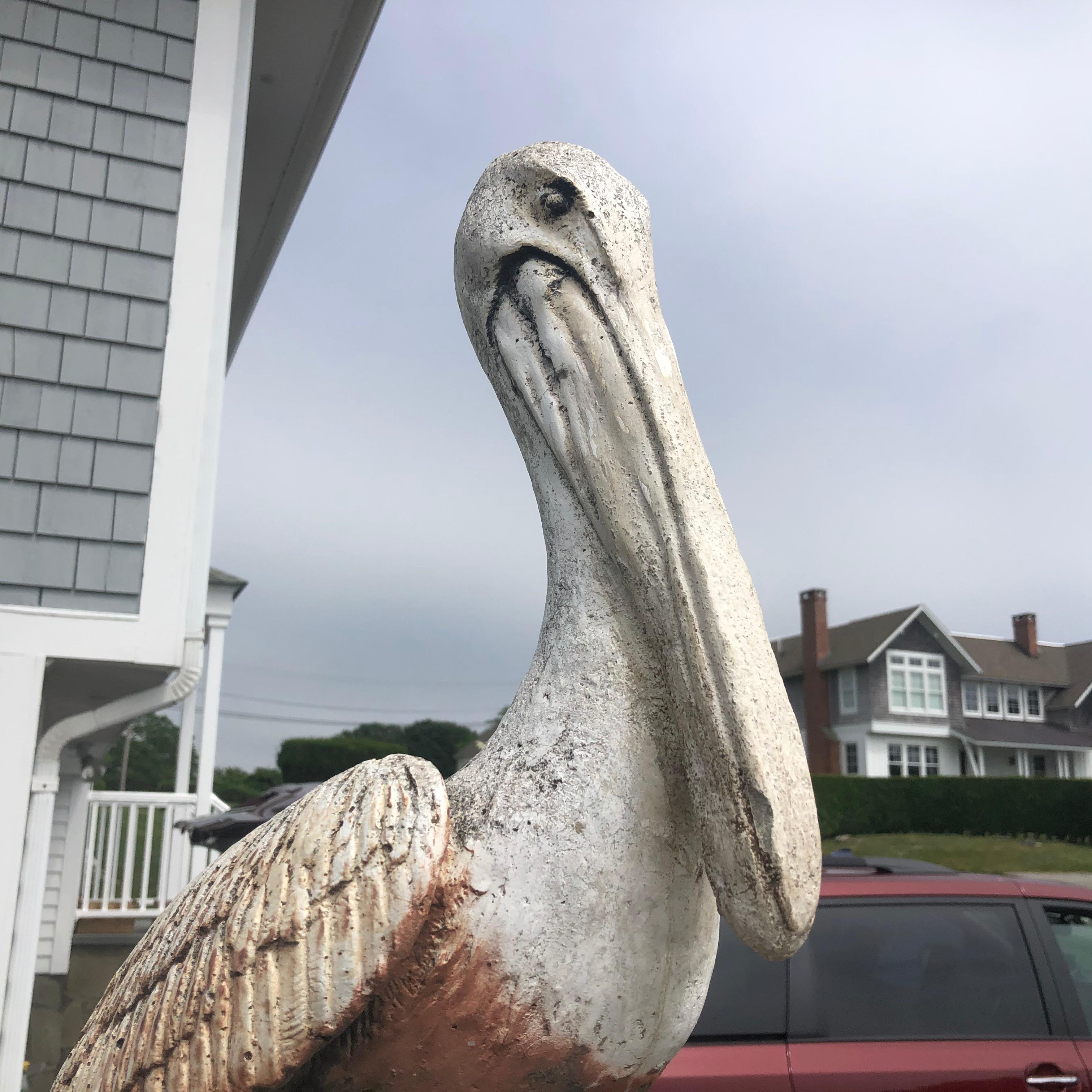 Showa Huge Ocean Garden Sea Bird Pelican