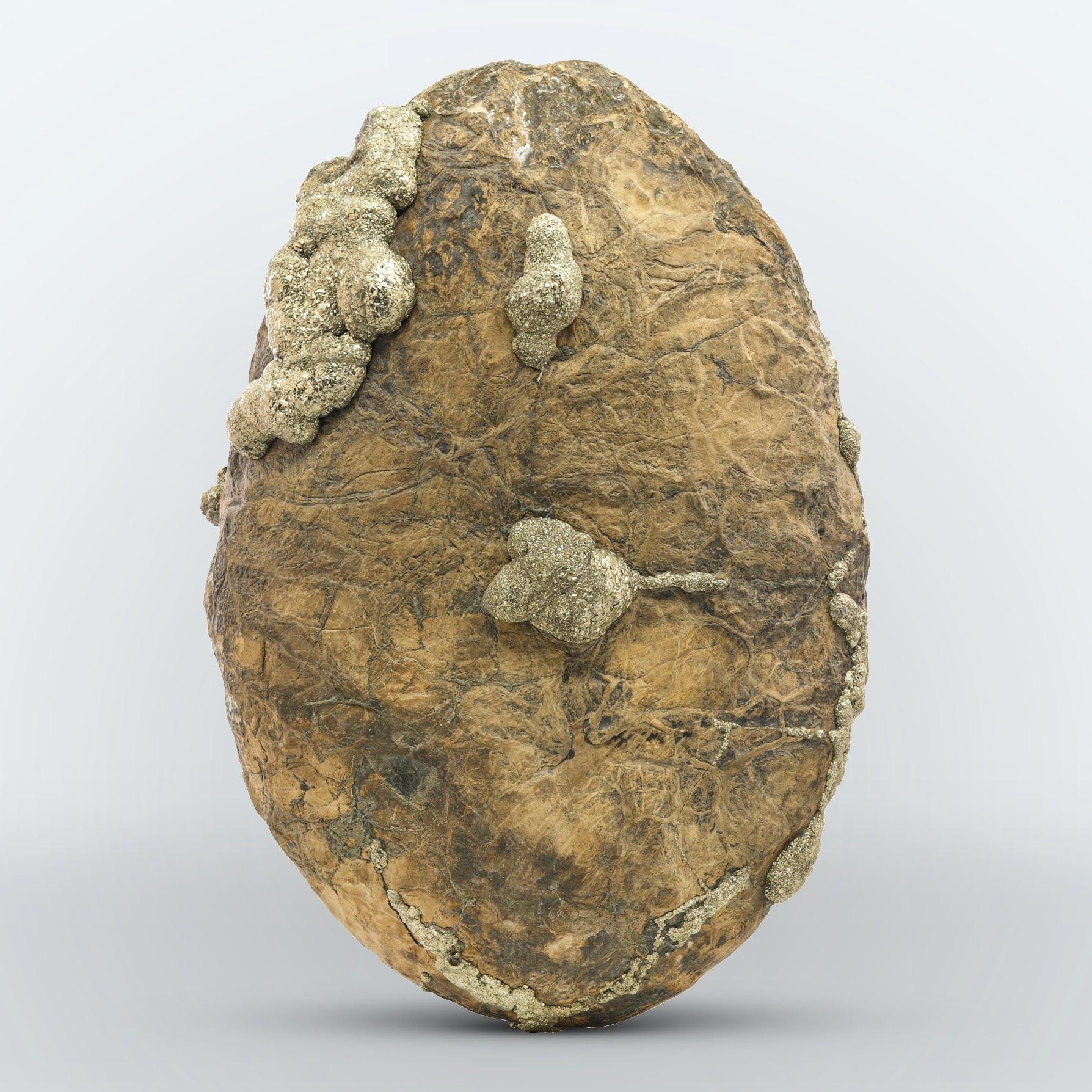 Art Deco Huge Oval Shape Pyrite Marcasite On Limonite Matrix From Pakistan For Sale