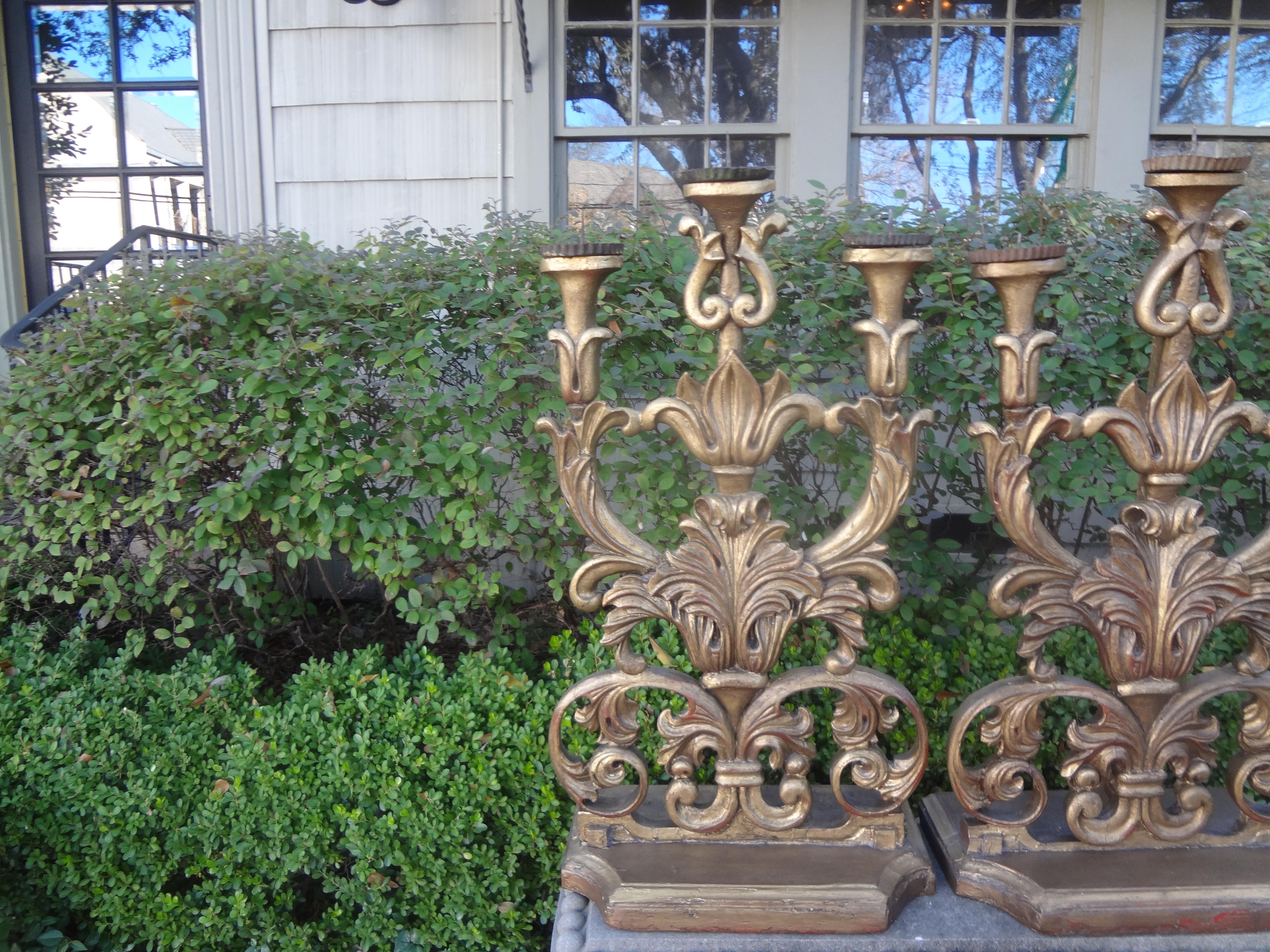 18th Century and Earlier Huge Pair of 18th Century Italian Baroque Giltwood Altar Candelabra For Sale