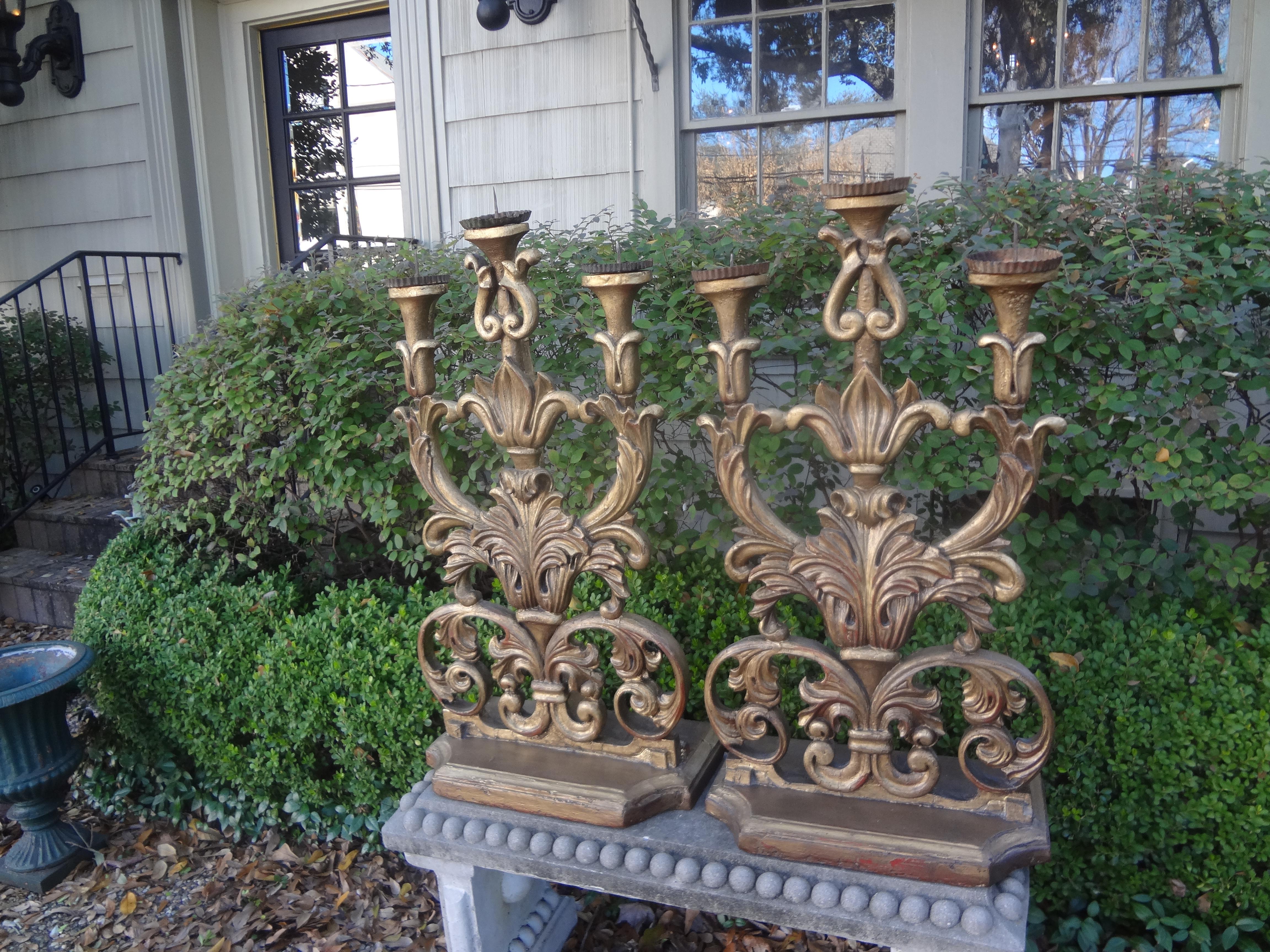 Huge Pair of 18th Century Italian Baroque Giltwood Altar Candelabra For Sale 1