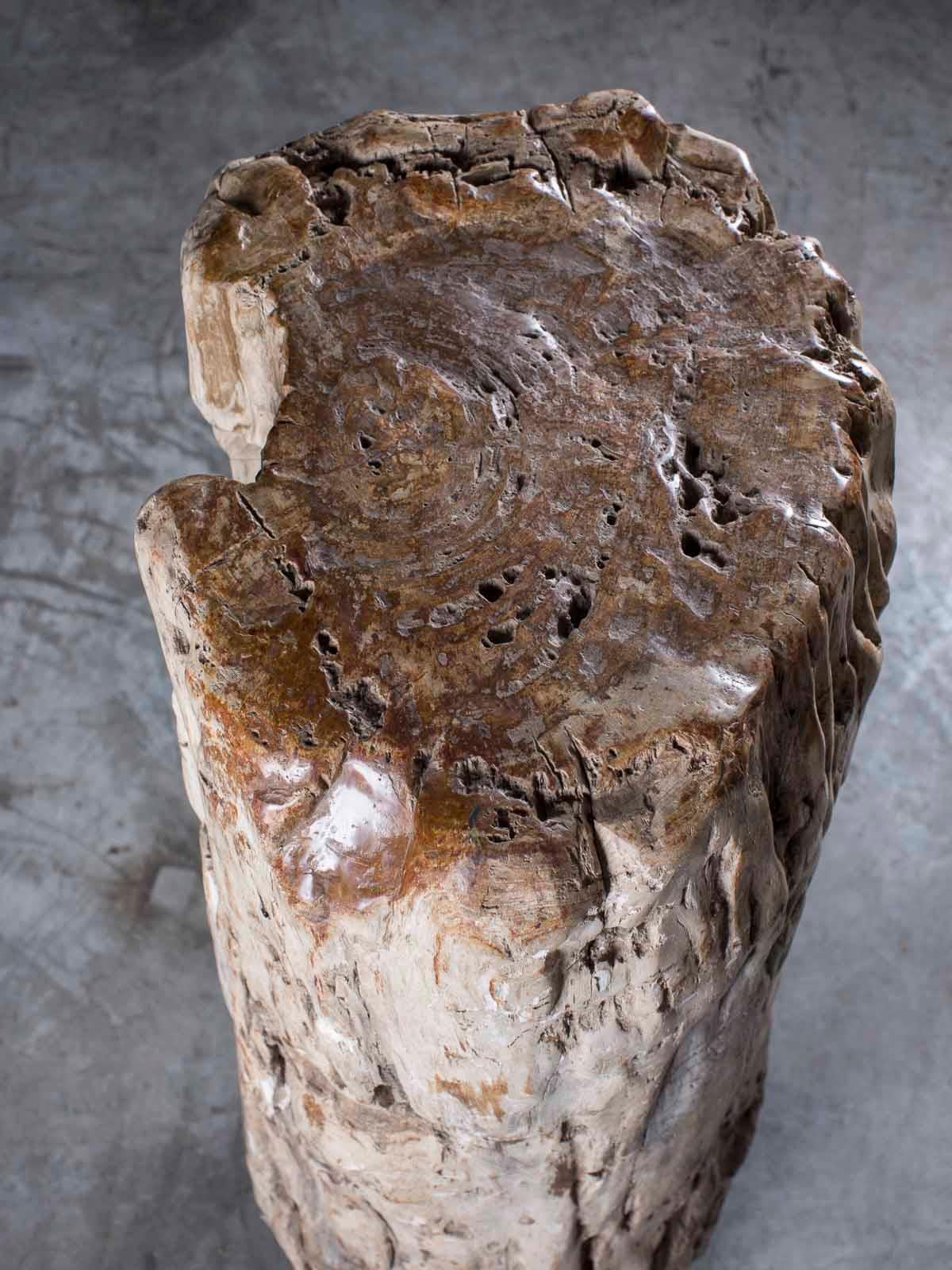 Huge Petrified Tree Trunk Pedestal Column Table on Custom Iron Stand For Sale 2