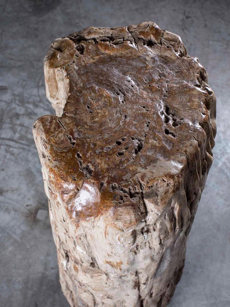 Huge Petrified Tree Trunk Pedestal Column Table on Custom Iron Stand
