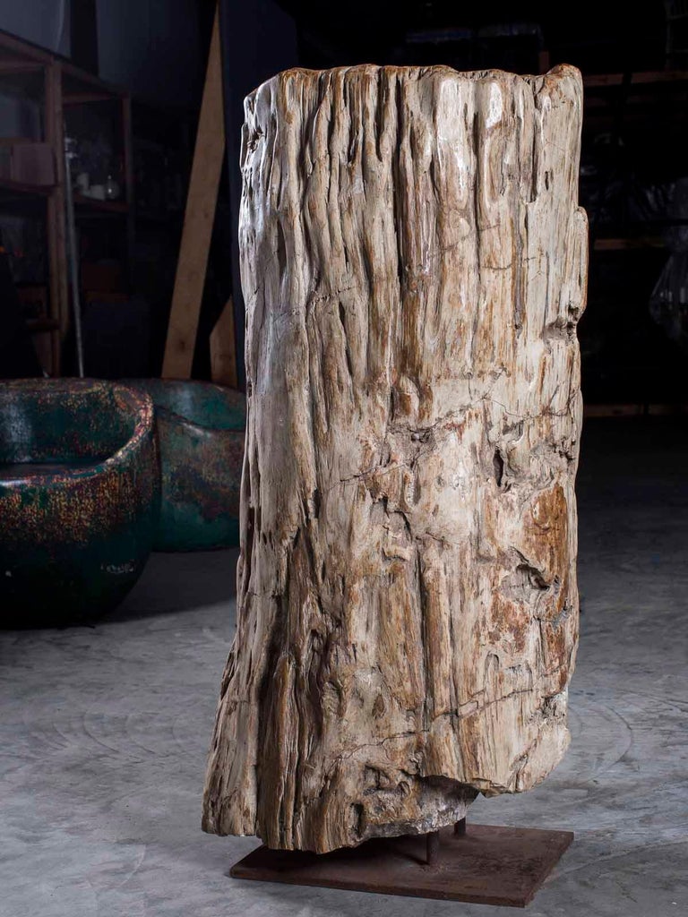 Huge Petrified Tree Trunk Pedestal Column Table on Custom Iron Stand ...