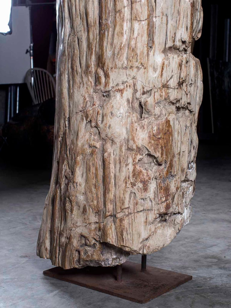 Huge Petrified Tree Trunk Pedestal Column Table on Custom Iron Stand