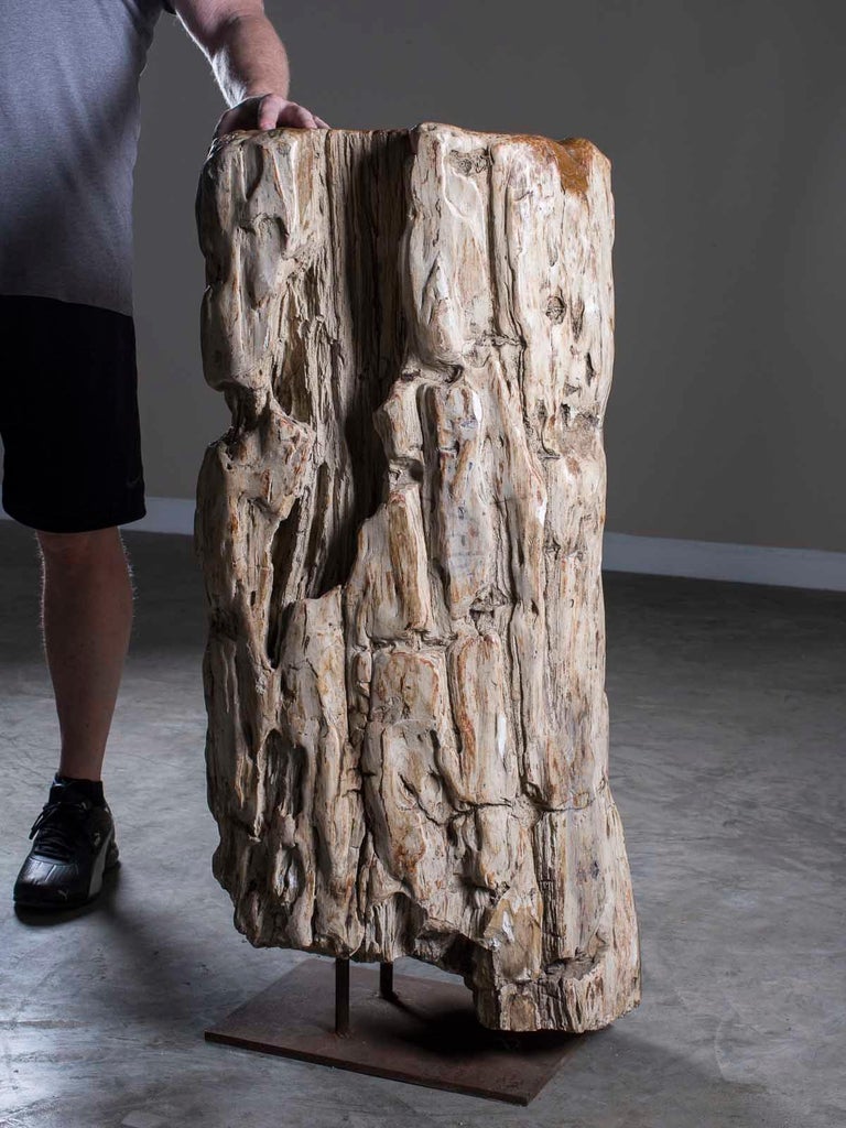 Huge Petrified Tree Trunk Pedestal Column Table on Custom Iron Stand ...