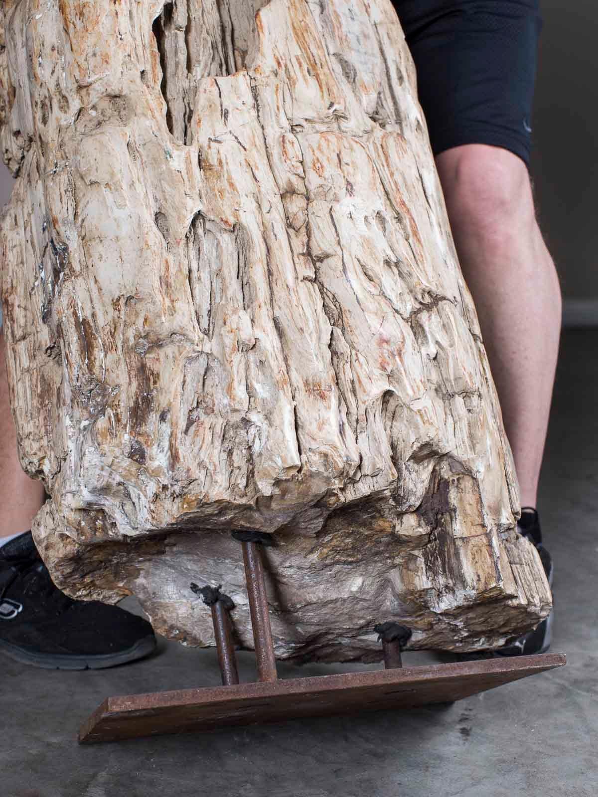 Huge Petrified Tree Trunk Pedestal Column Table on Custom Iron Stand For Sale 7
