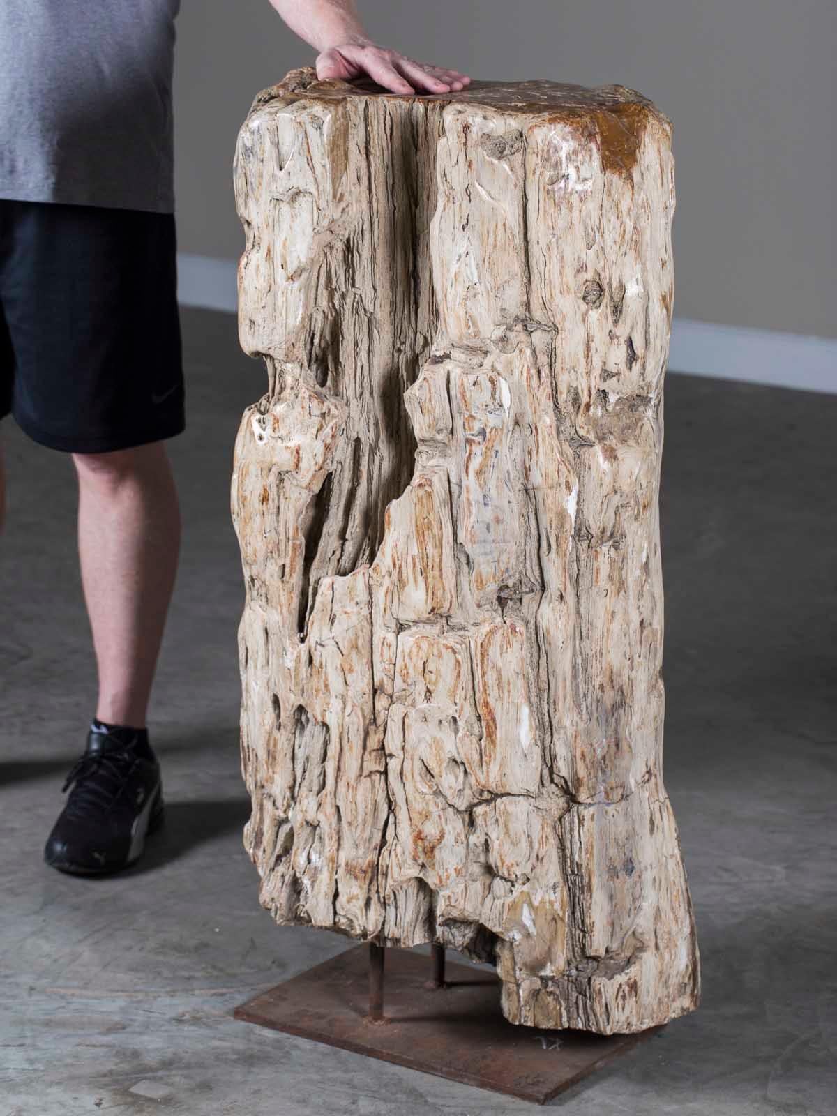 Chinese Huge Petrified Tree Trunk Pedestal Column Table on Custom Iron Stand For Sale