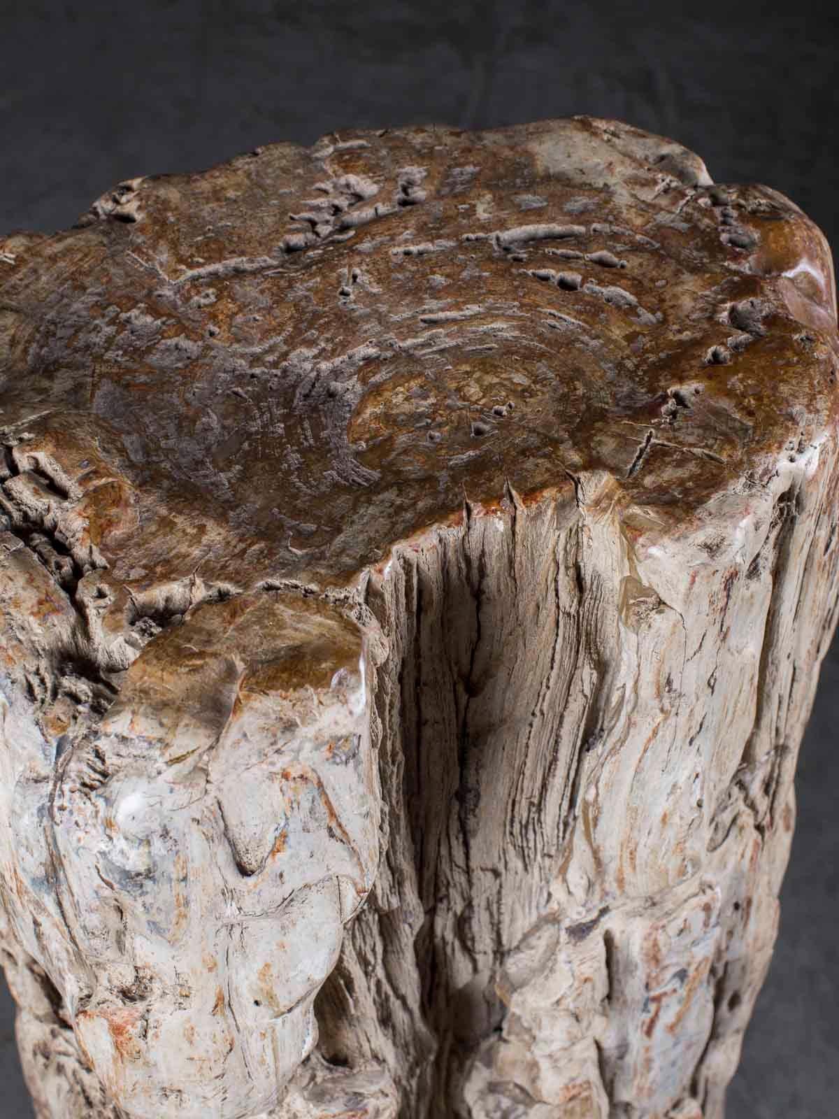Forged Huge Petrified Tree Trunk Pedestal Column Table on Custom Iron Stand For Sale