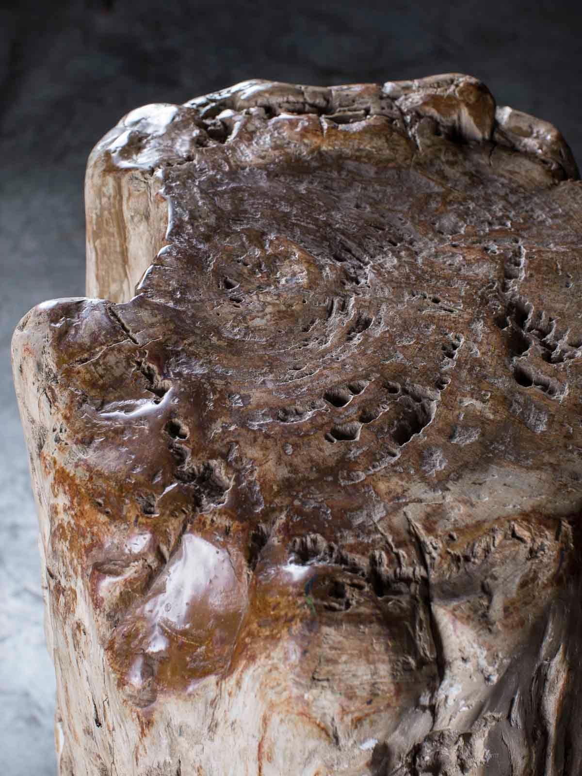 Huge Petrified Tree Trunk Pedestal Column Table on Custom Iron Stand In Good Condition For Sale In Houston, TX
