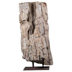 Antique Huge Petrified Tree Trunk Pedestal Column Table on Custom Iron Stand