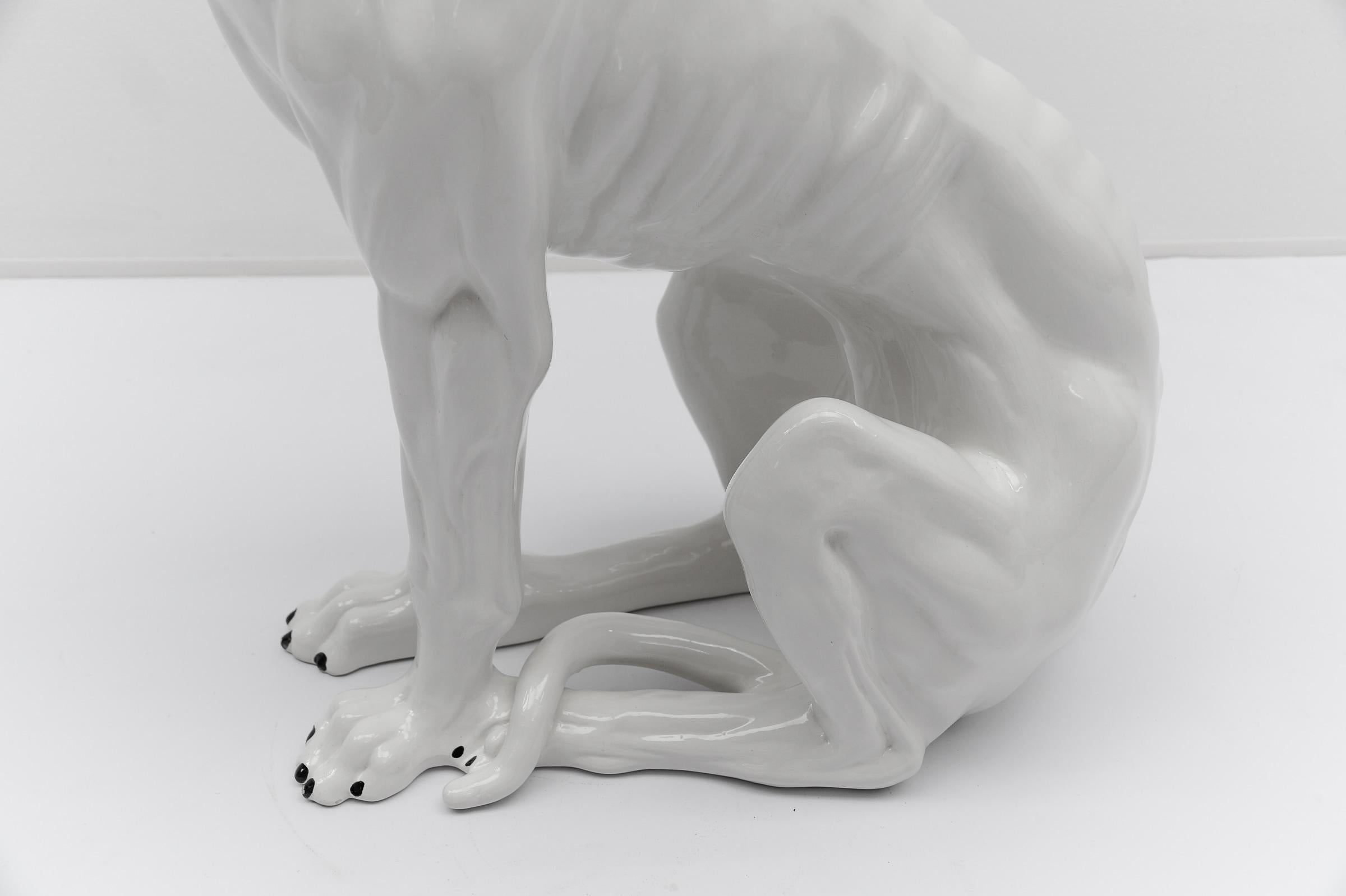 Huge Realistic Ceramic Greyhound from Italy, 1960s 4