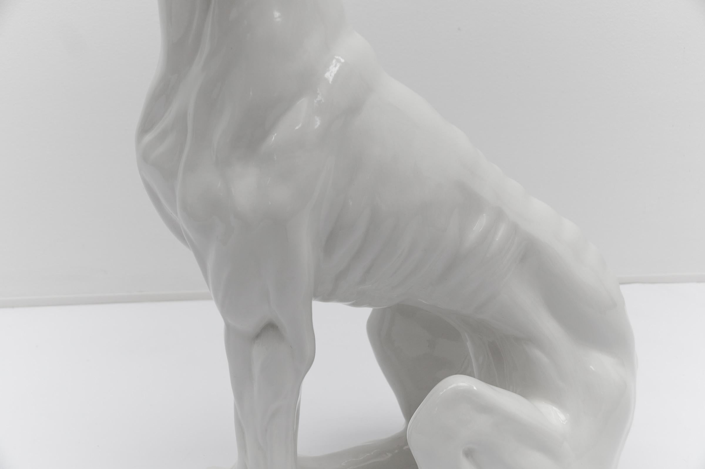 Huge Realistic Ceramic Greyhound from Italy, 1960s 6